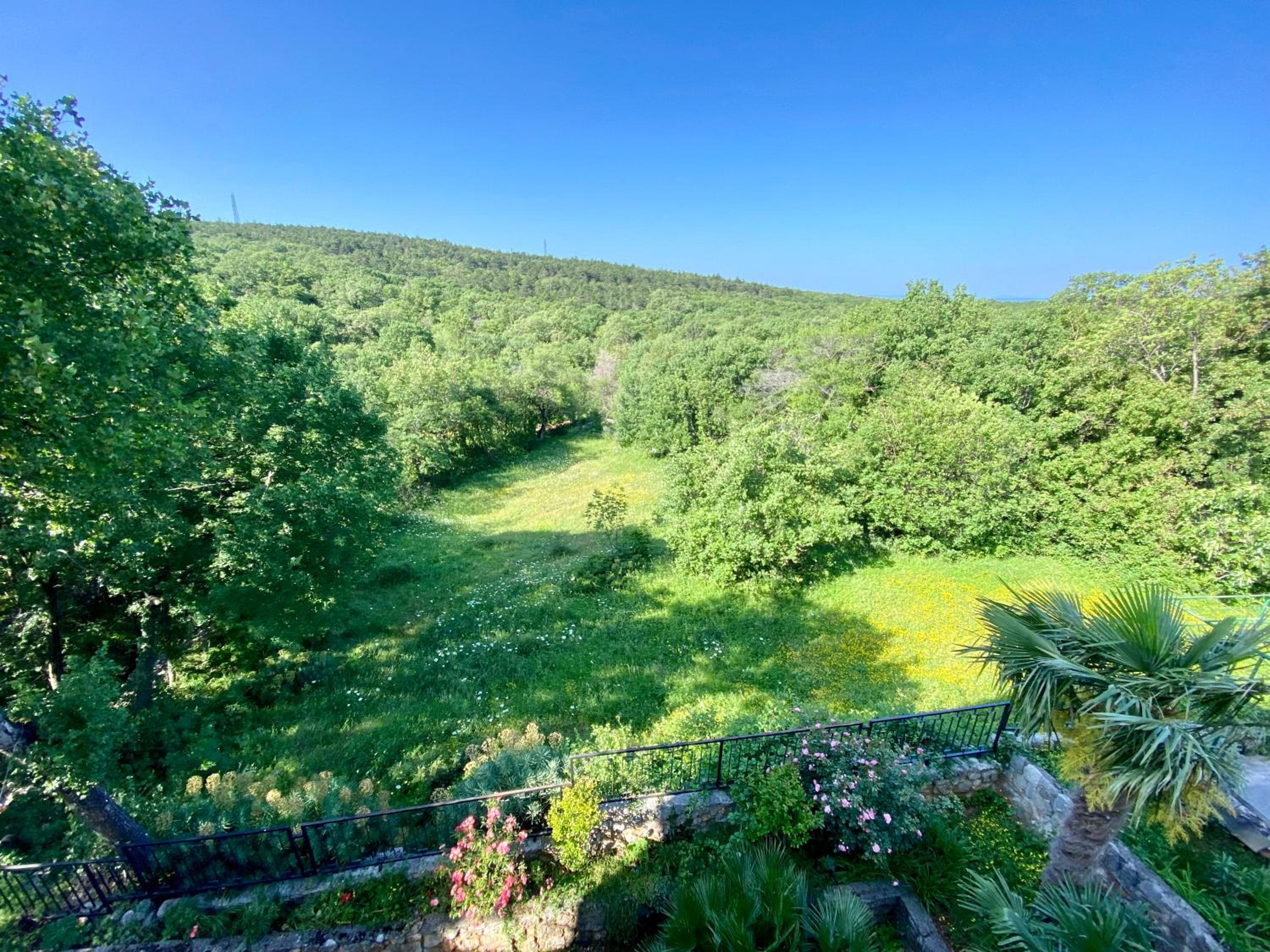 Villa Theresa