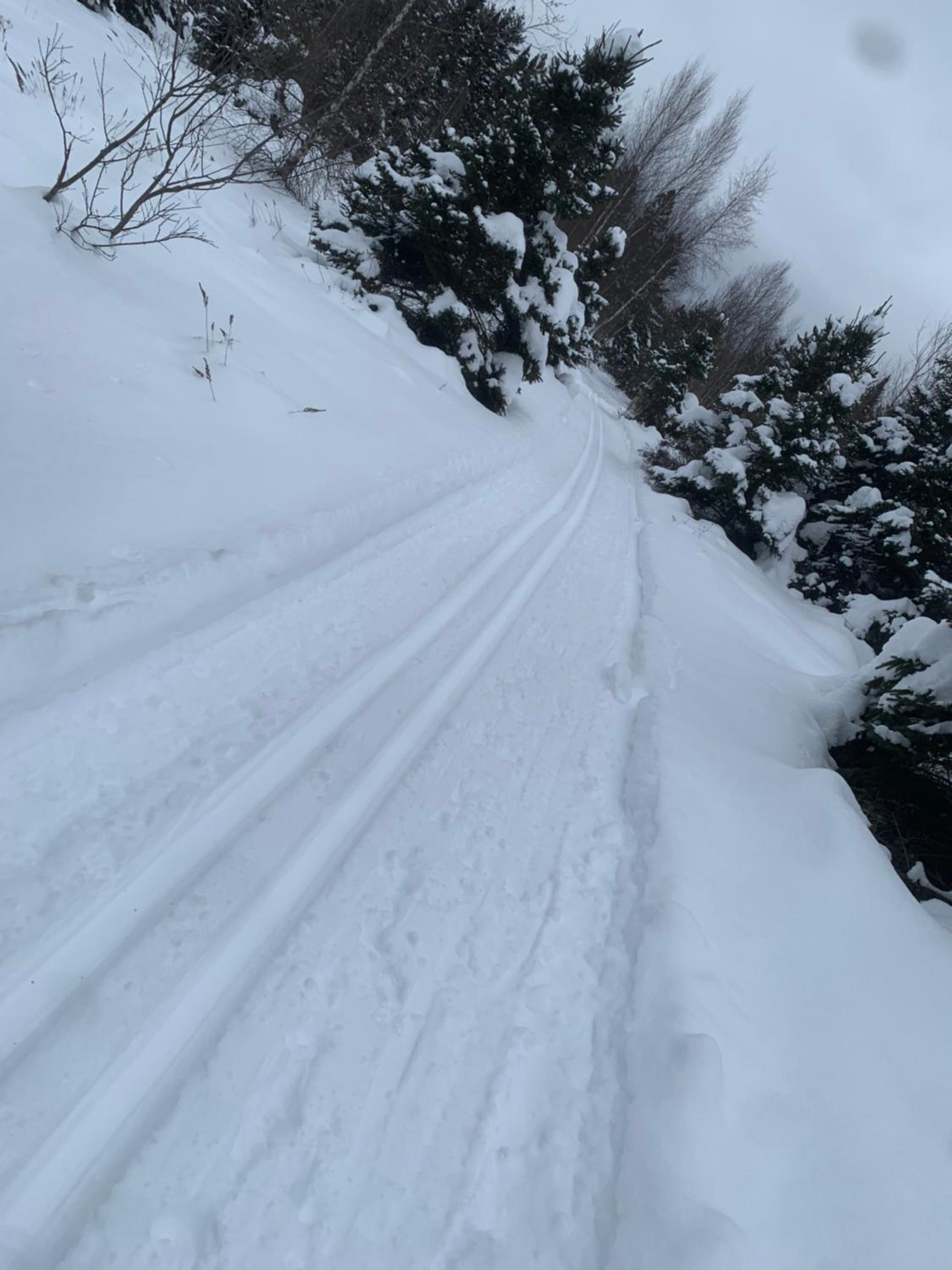Chalets Garou