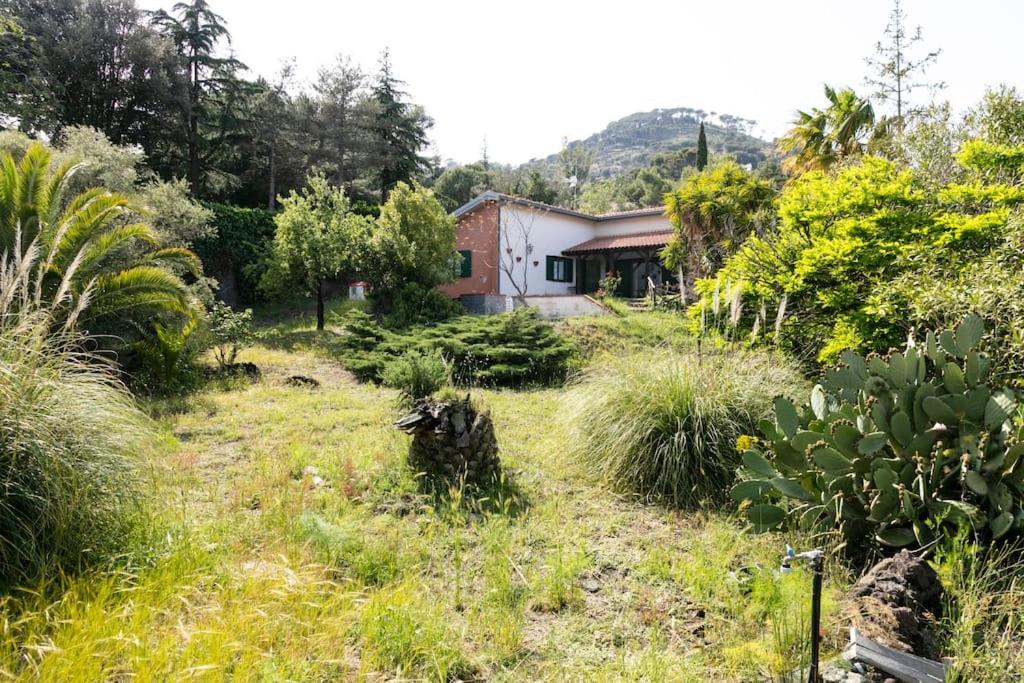 Villa Etna