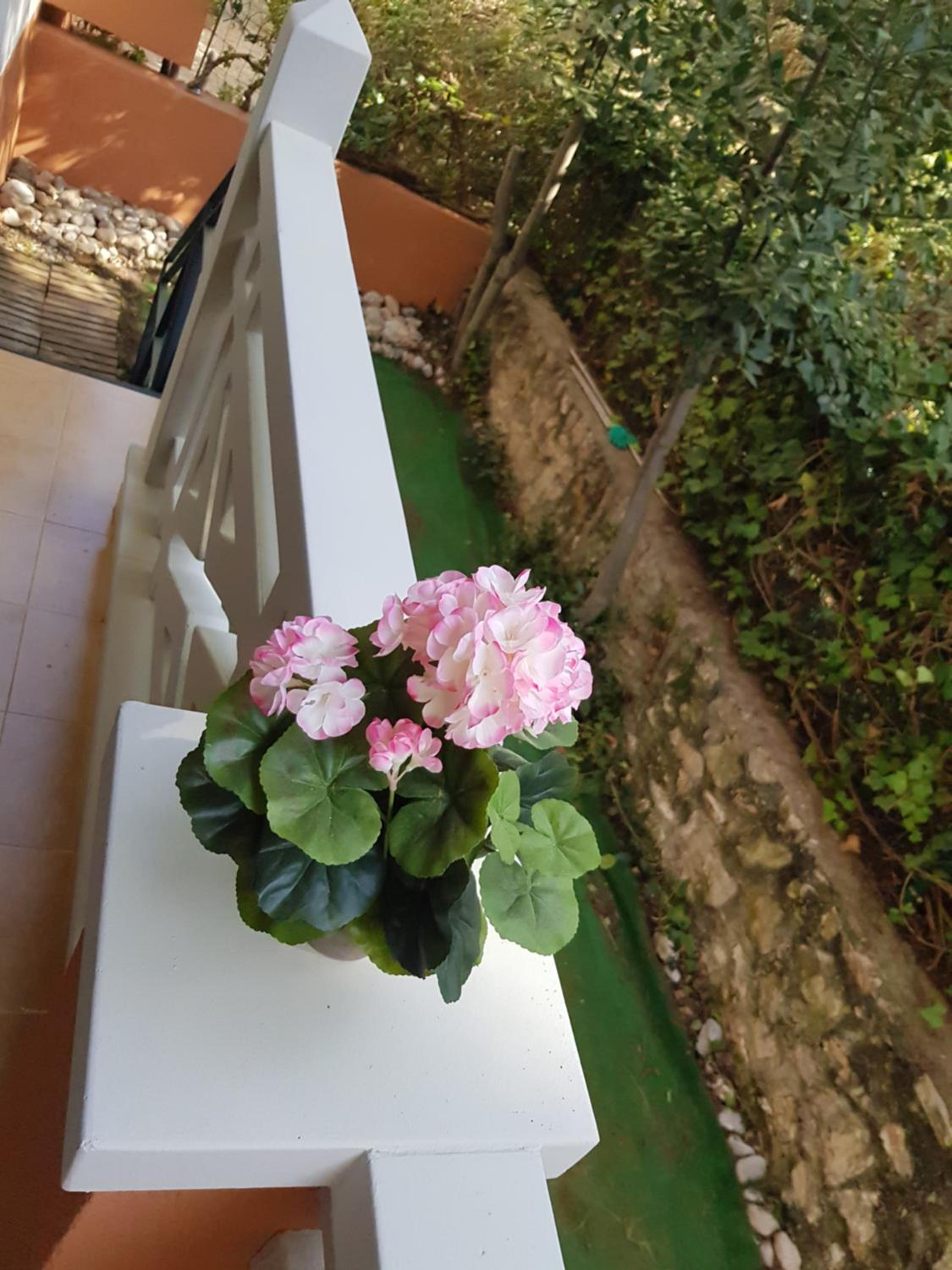 Appartment Maximar