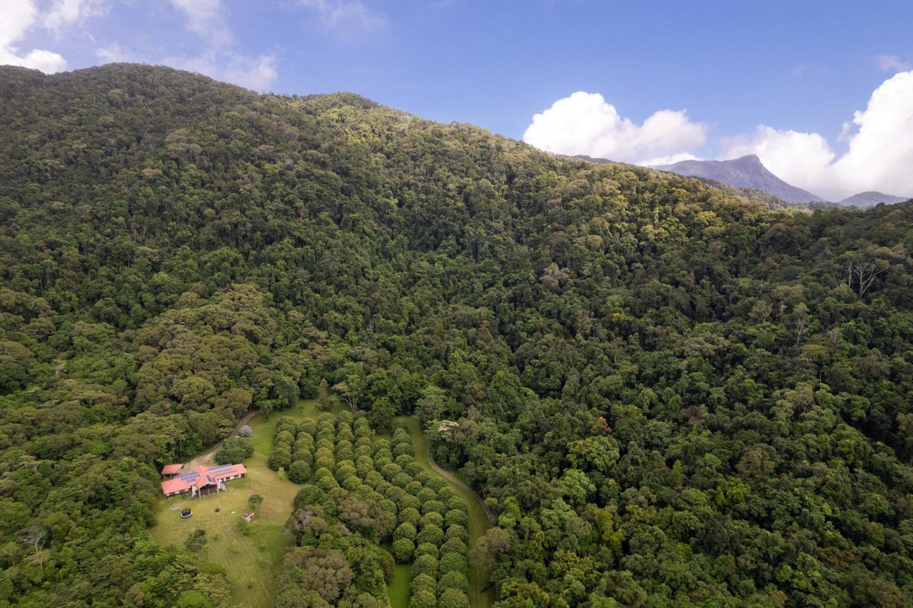 Julatten Platypus Mountain Home