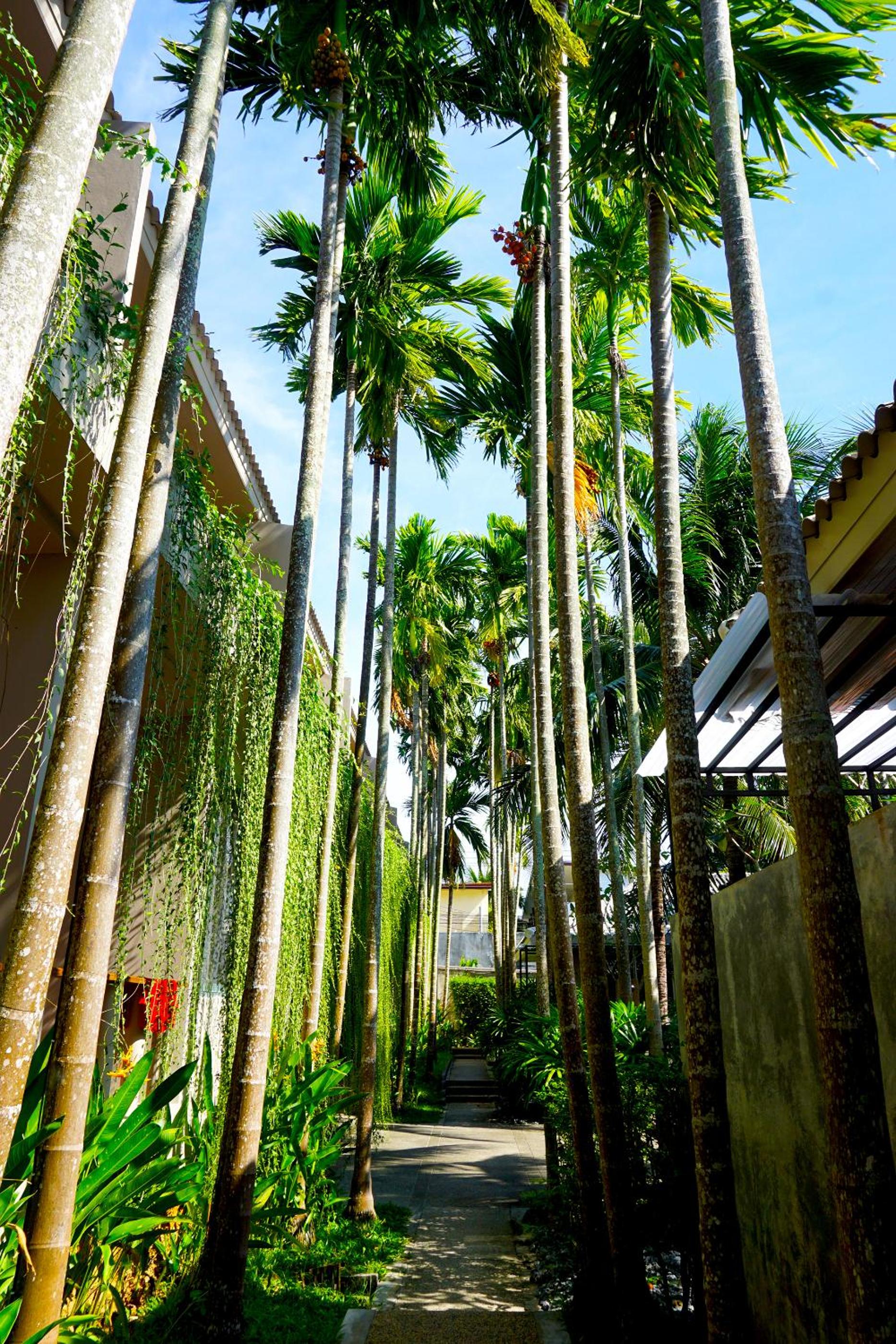 Signature Phuket Resort — 27