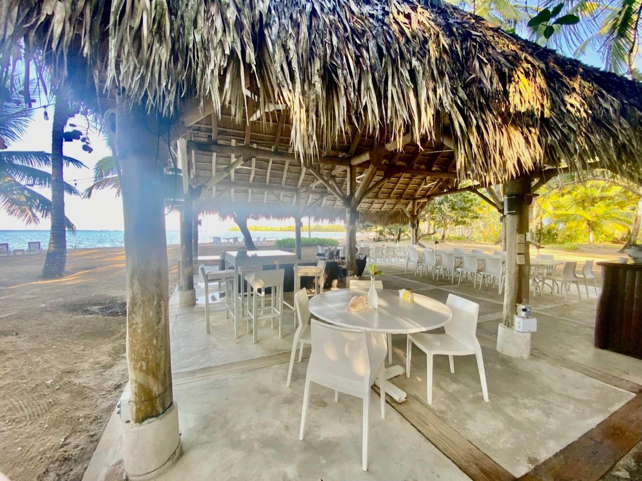 Stunning Beachfront Condo With Private Beach, Las Terrenas-El Limón