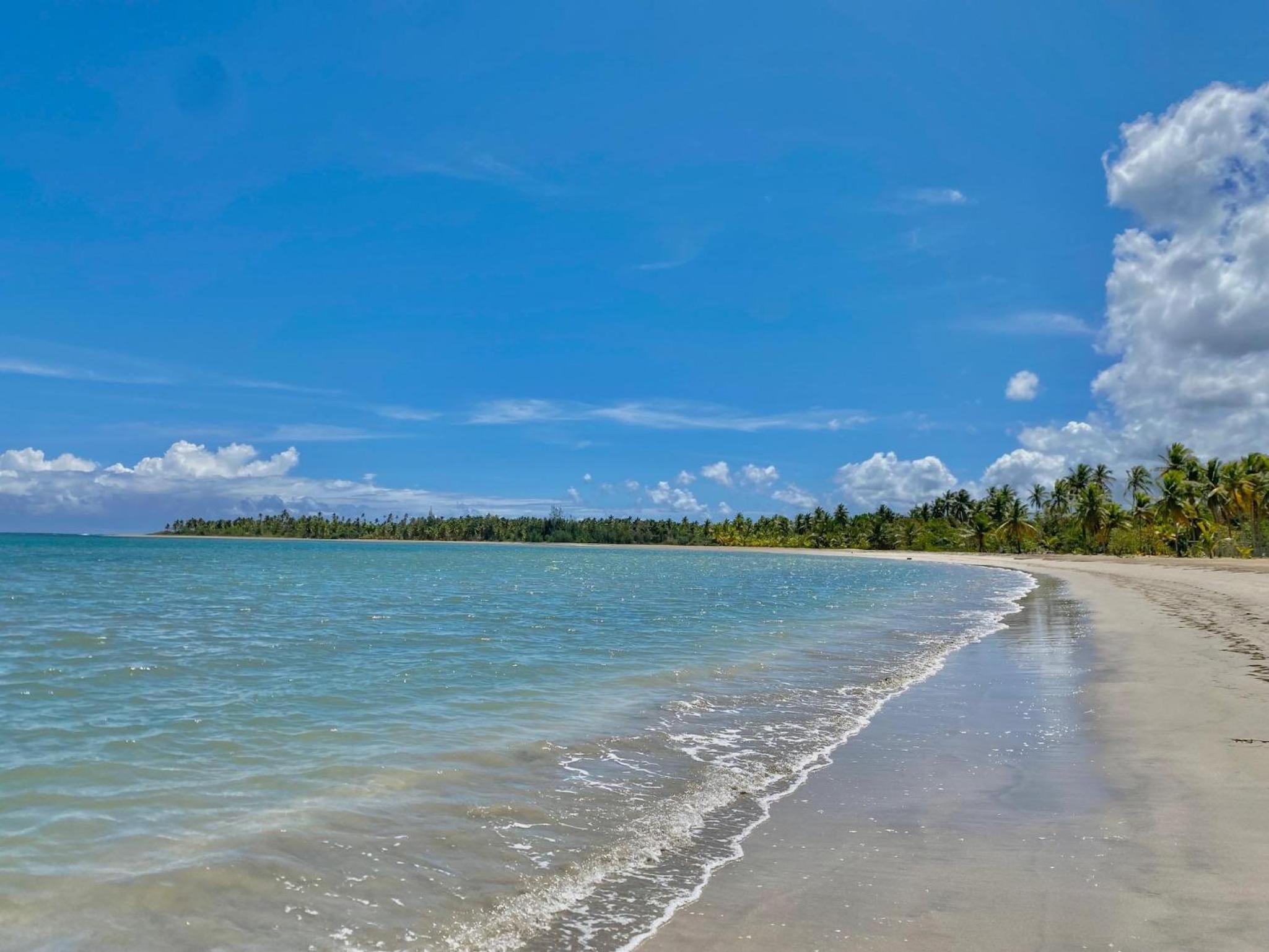 Stunning Beachfront Condo With Private Beach, Las Terrenas-El Limón