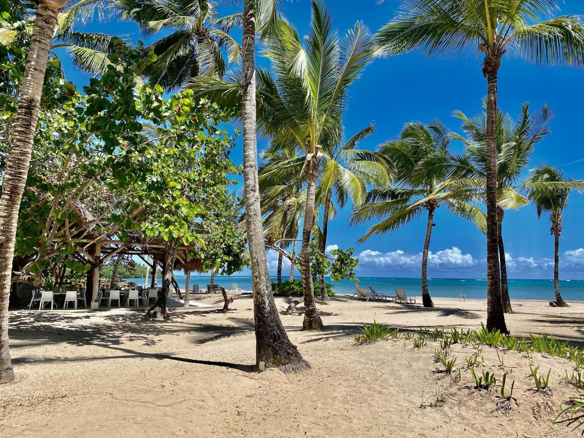 Stunning Beachfront Condo With Private Beach, Las Terrenas-El Limón