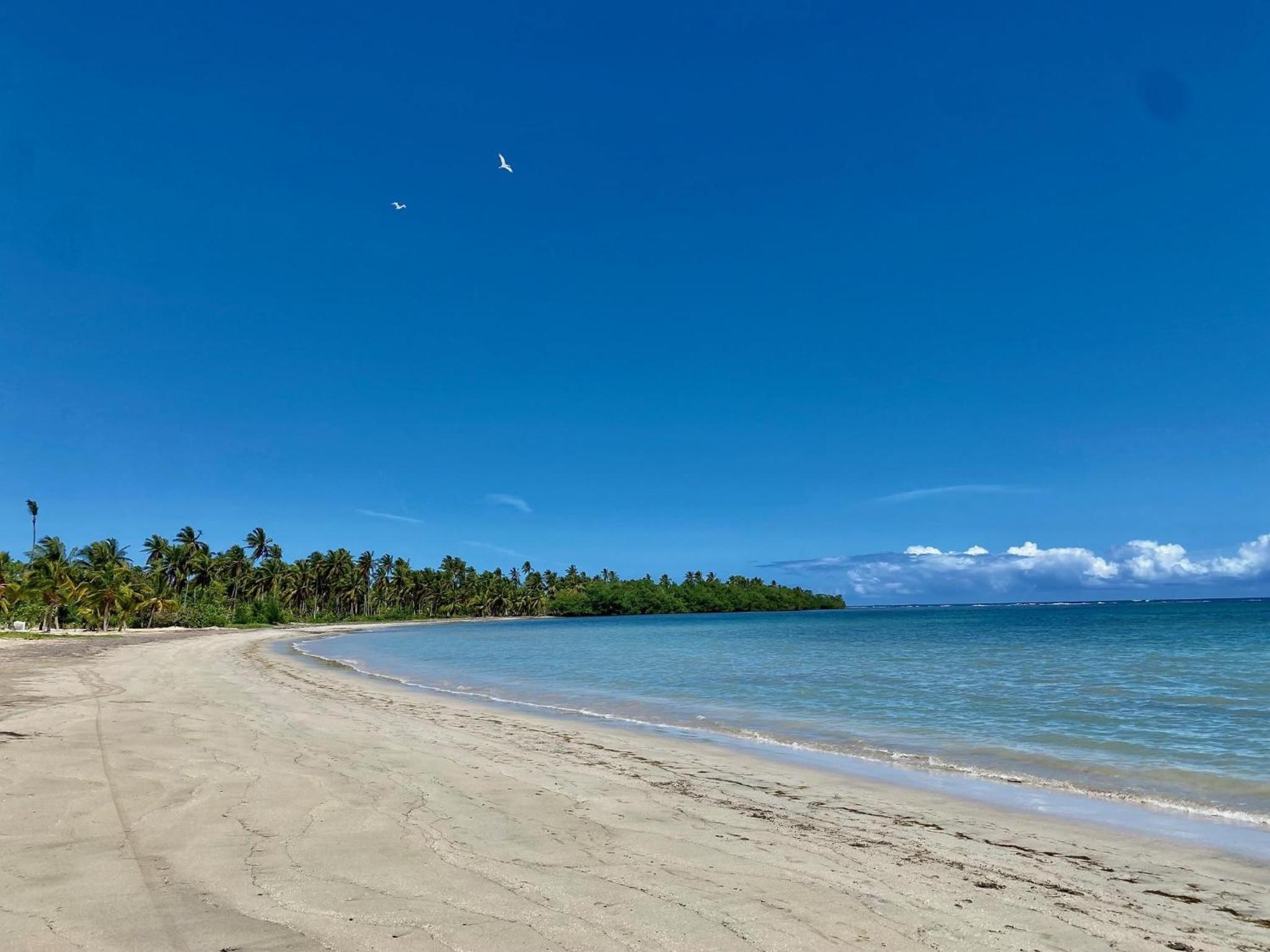 Stunning Beachfront Condo With Private Beach, Las Terrenas-El Limón