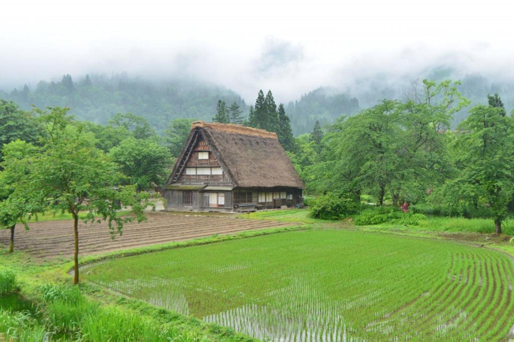 Shiroyamakan