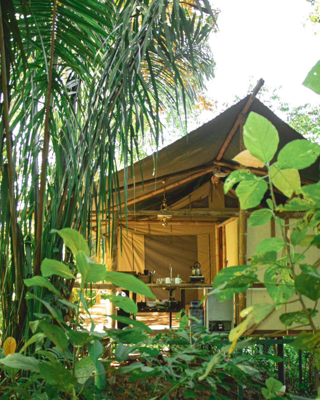 Costa Rica Caribbean Coast Vacations - Colina Secreta - Glamping and Villas - Property Image 49
