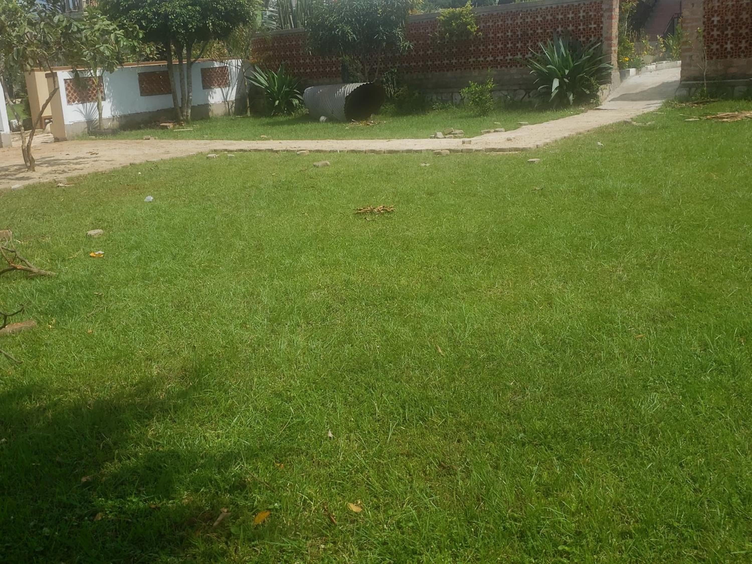 Photo 63