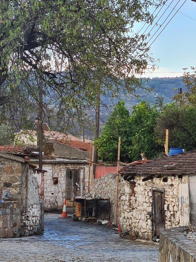 THE ROCK HOUSE - Beautiful countryside with mandarins oranges and olive trees,. Near Limassol at Eptagonia village.