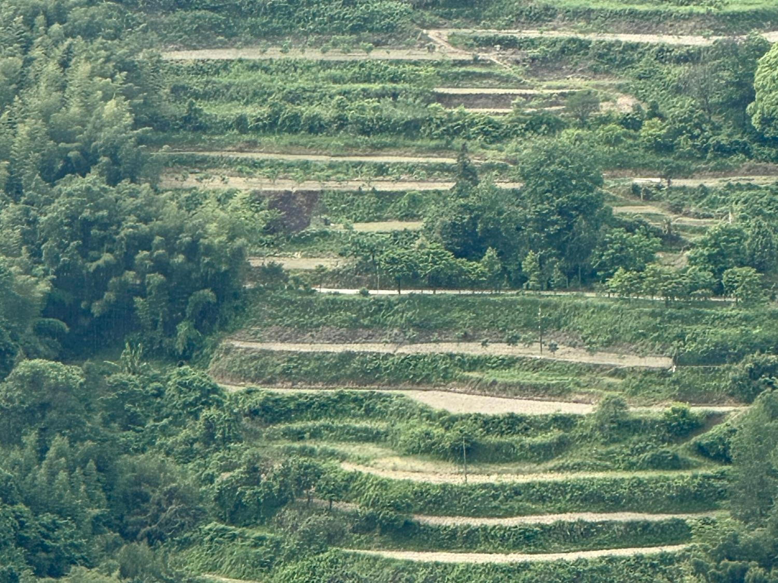 Zhangjiajie National Park Nvue Resorts