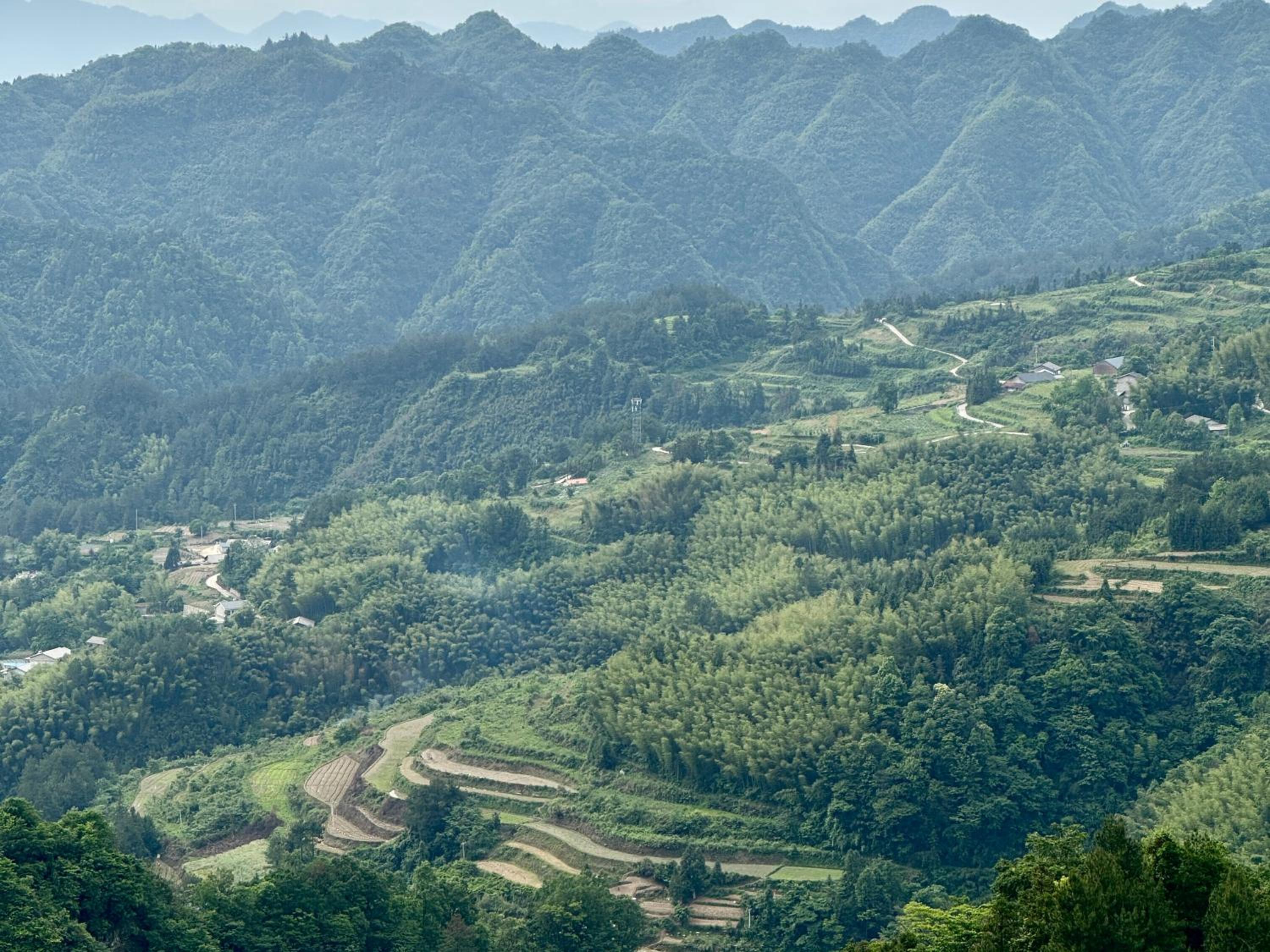 Zhangjiajie National Park Nvue Resorts