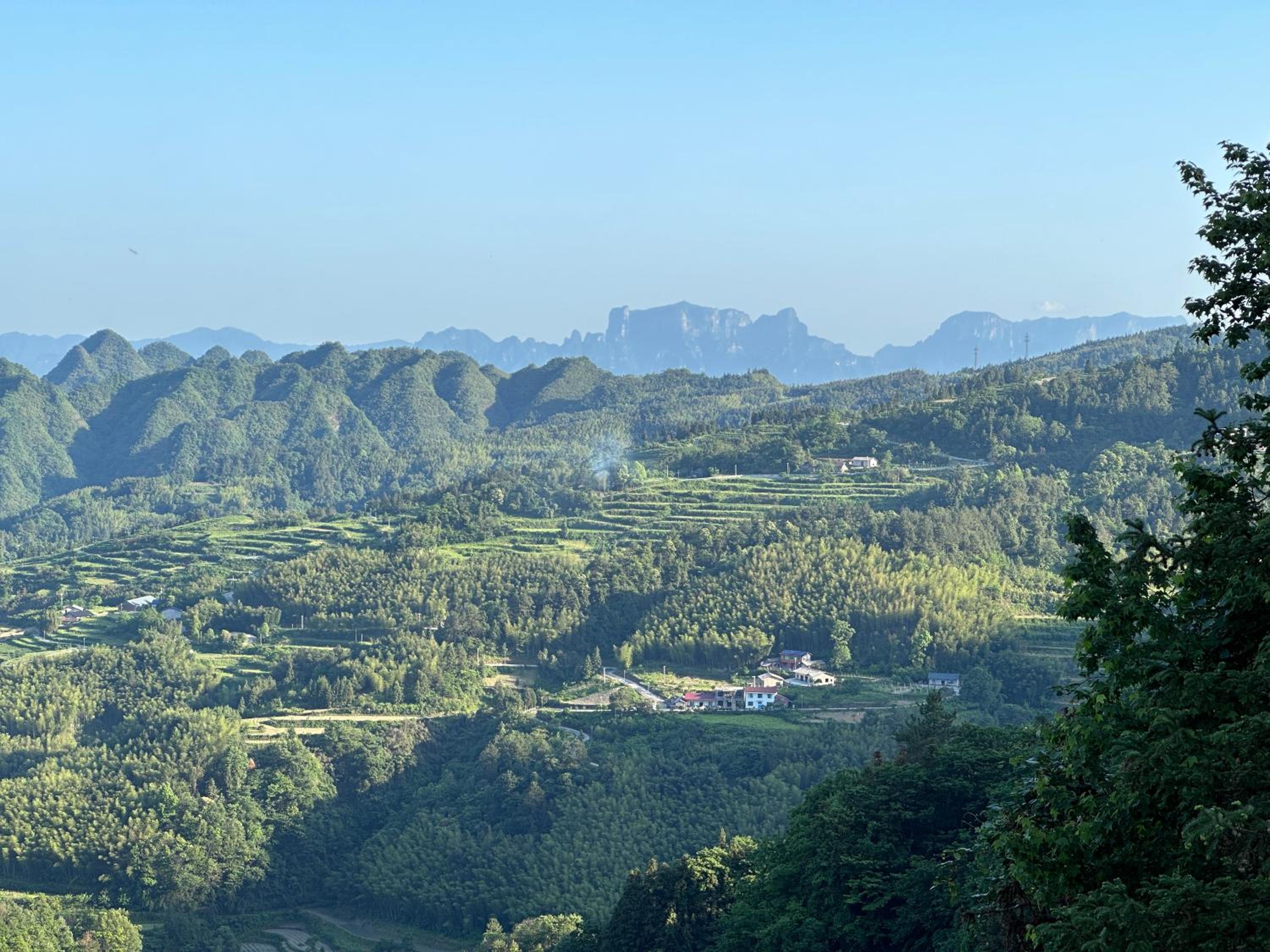 Zhangjiajie National Park Nvue Resorts