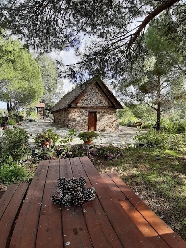 THE ROCK HOUSE - Beautiful countryside with mandarins oranges and olive trees,. Near Limassol at Eptagonia village.