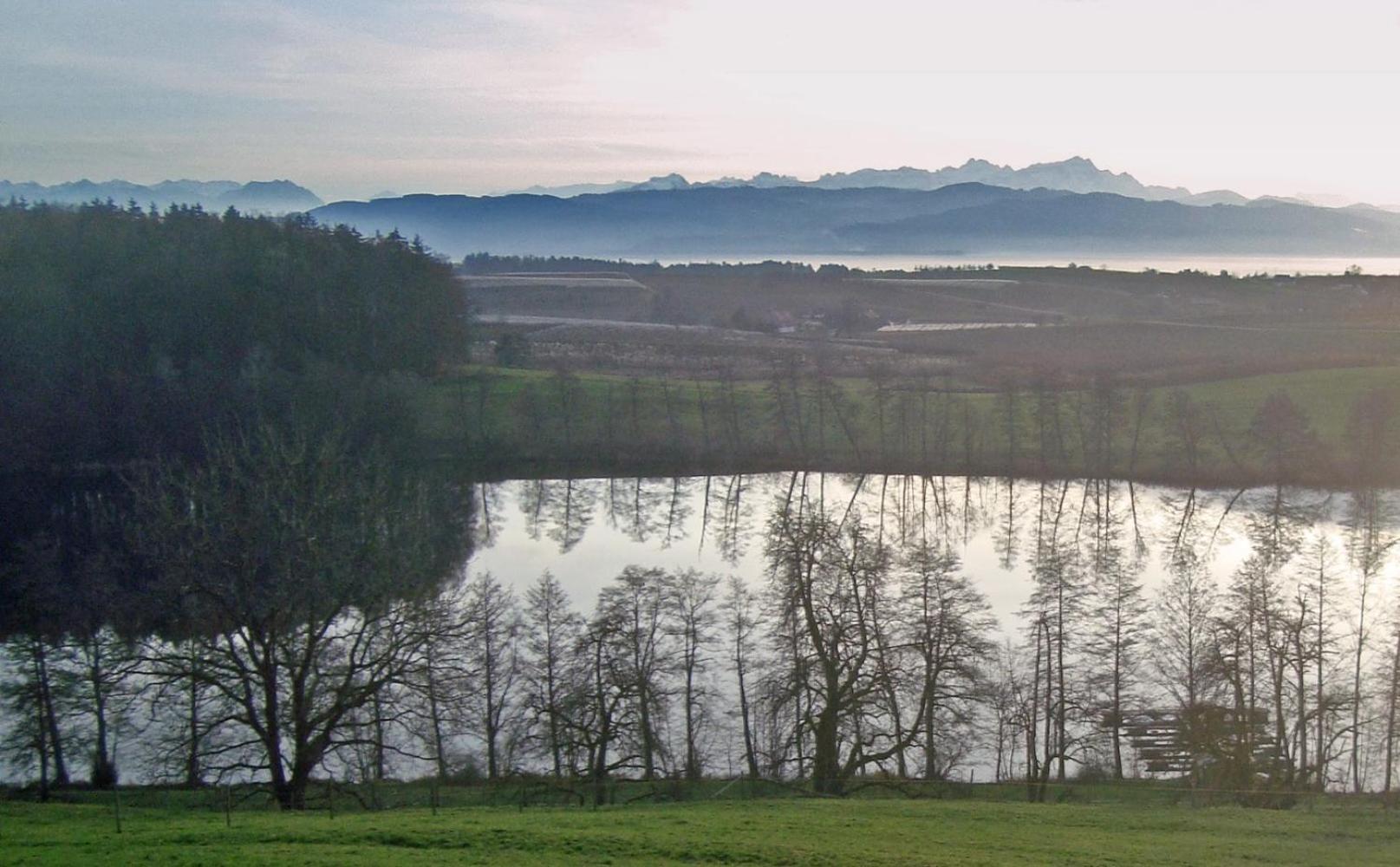 BodenSEE Apartment Kressbronn Fischerdorf SEE 3