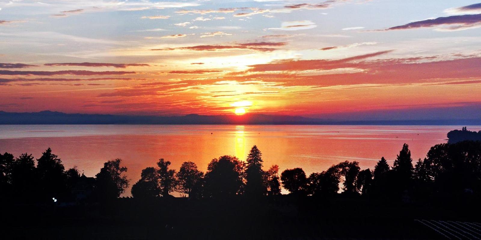 BodenSEE Apartment Kressbronn Fischerdorf SEE 3