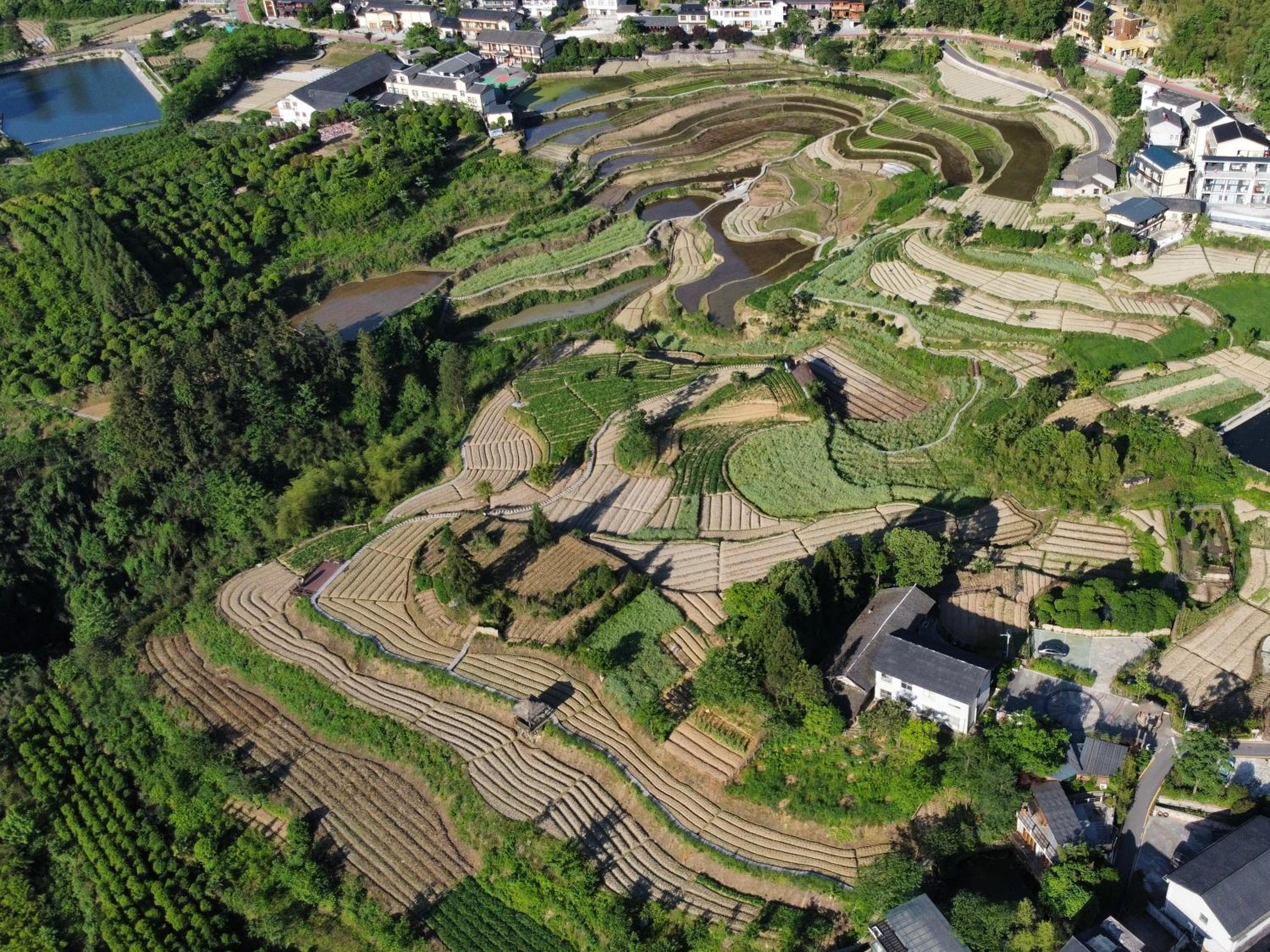 Zhangjiajie National Park Nvue Resorts
