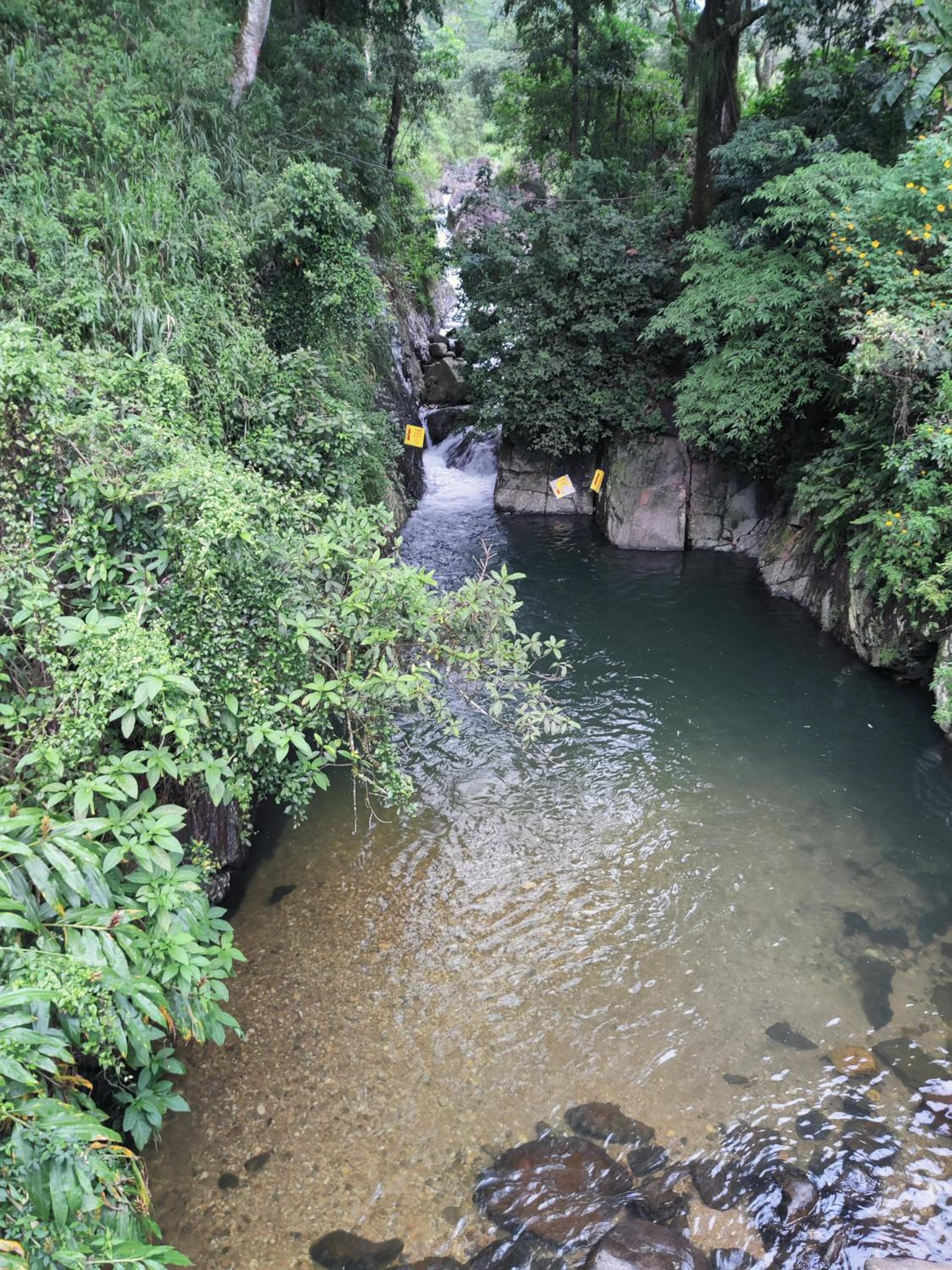 Photo 46