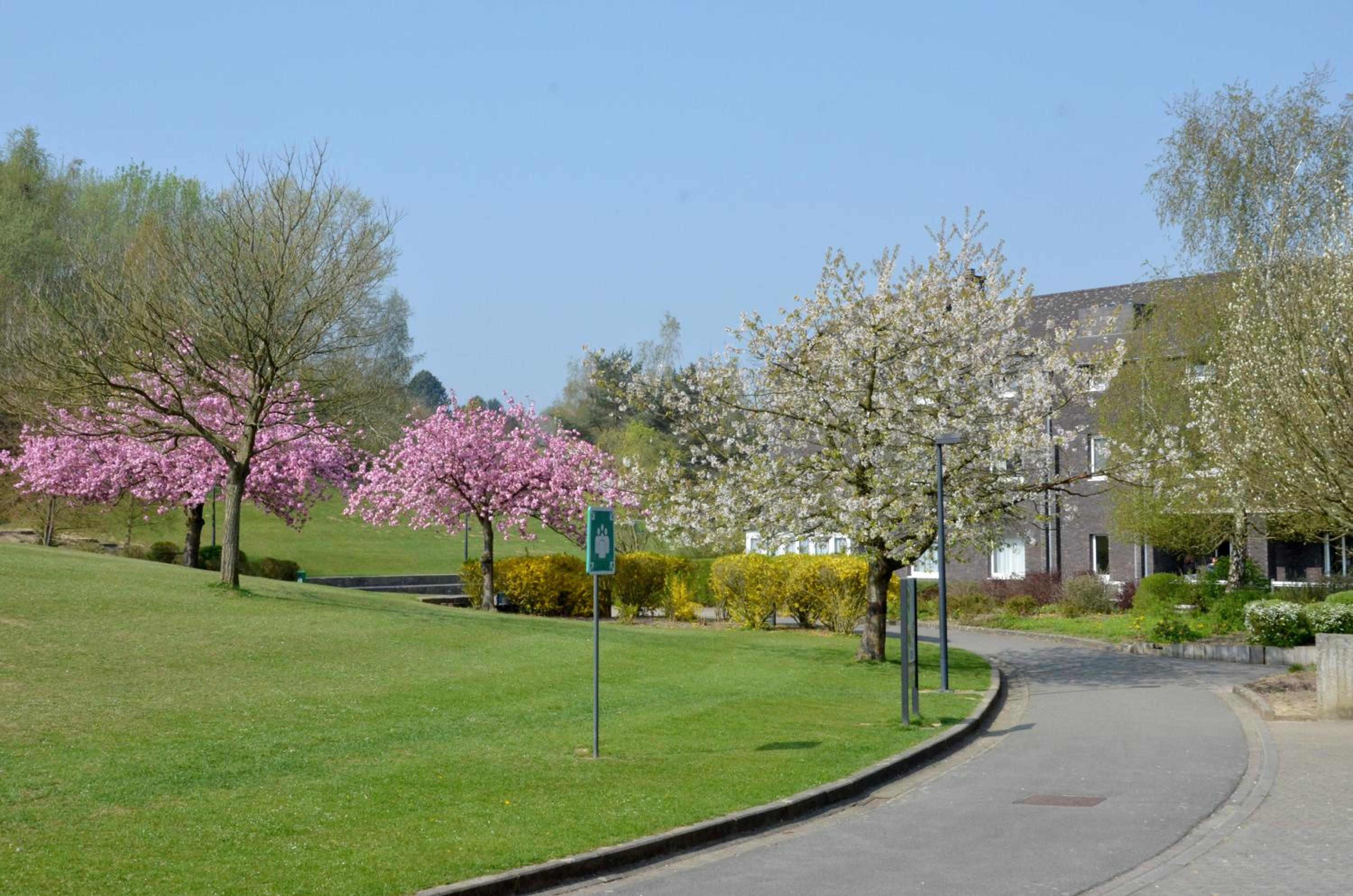 Auberge des 3 Fontaines - Youth Hostel