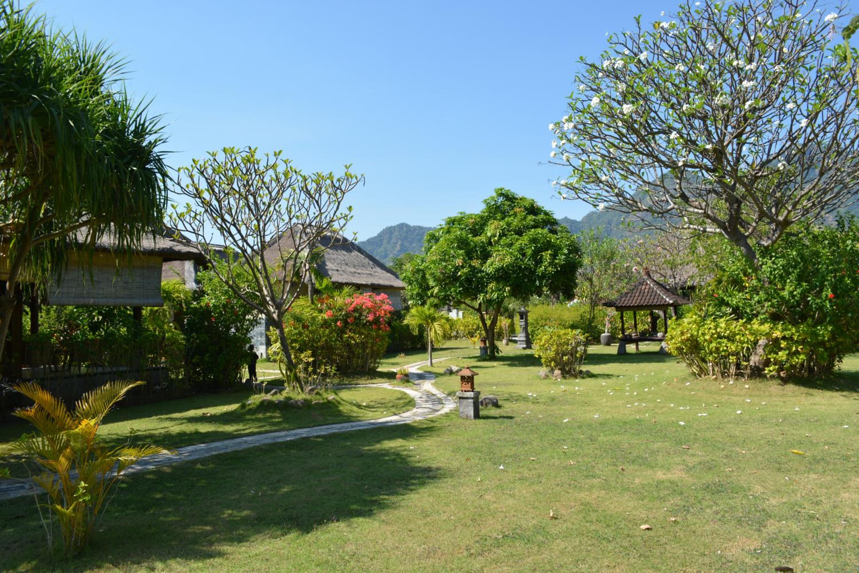 Photo 48