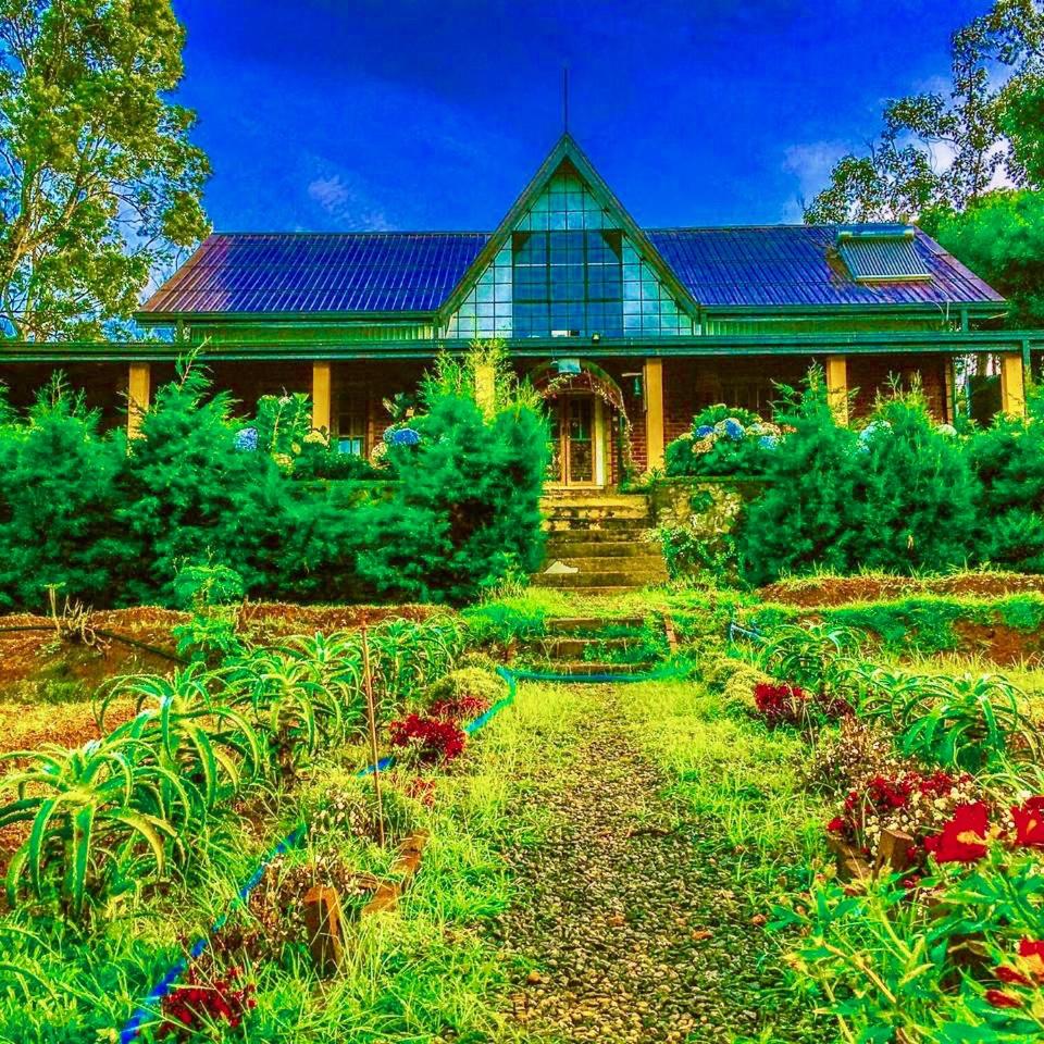SHADOW MASK BUNGALOW
