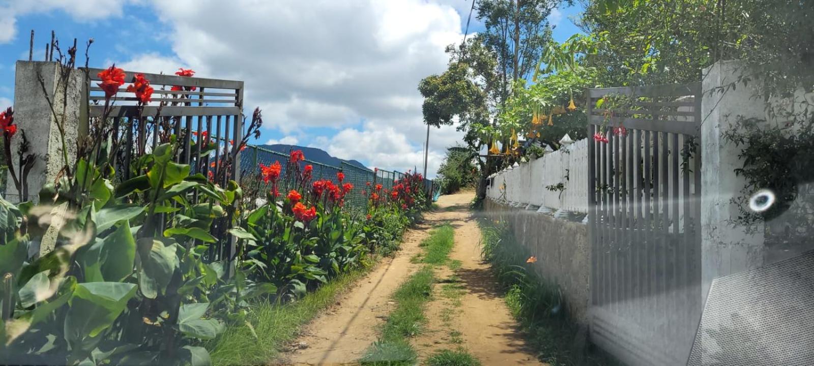 SHADOW MASK BUNGALOW