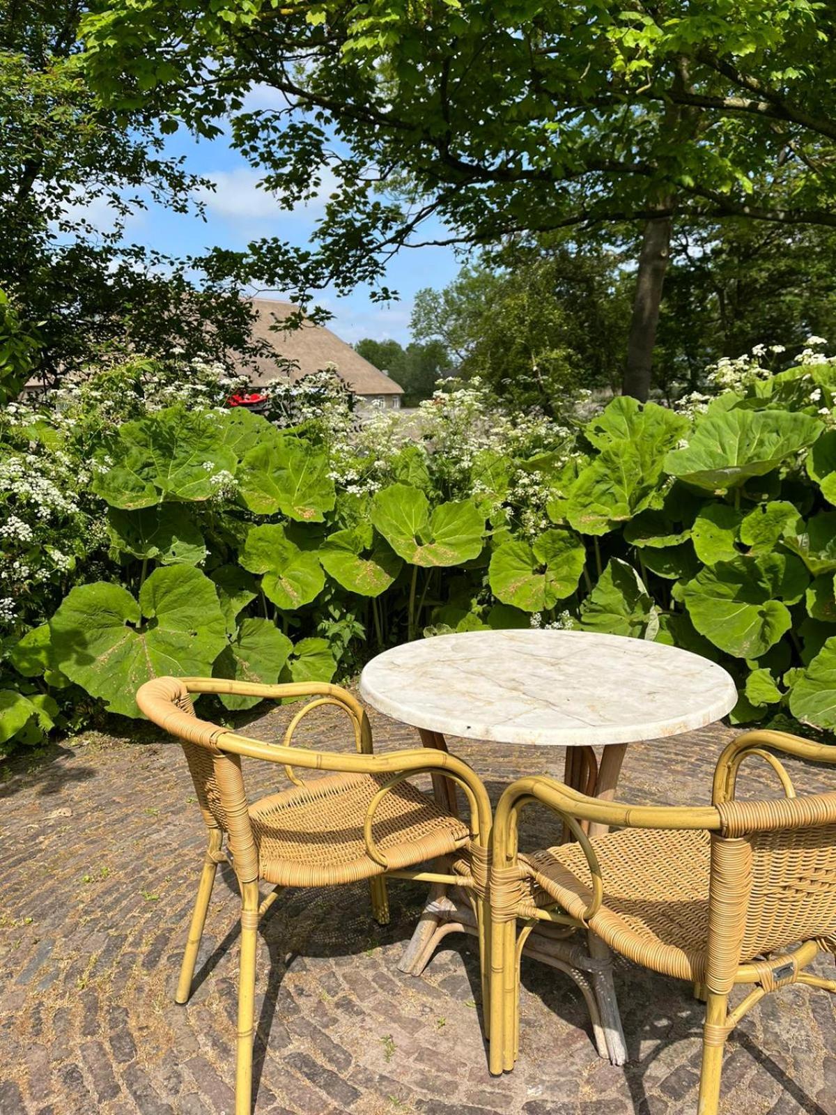 Bed and Breakfast Stinzenflora