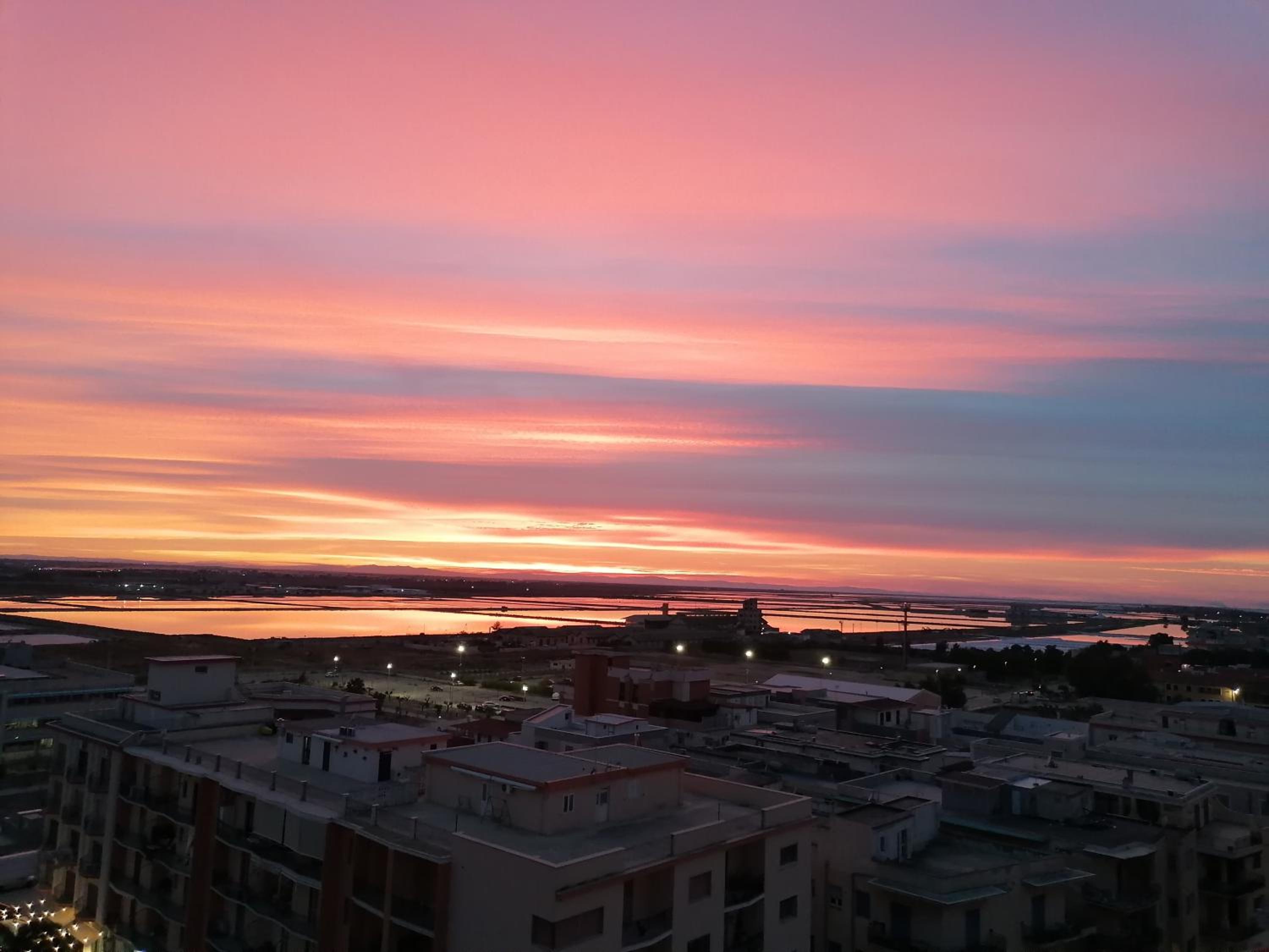 Fenicottero Rosa
