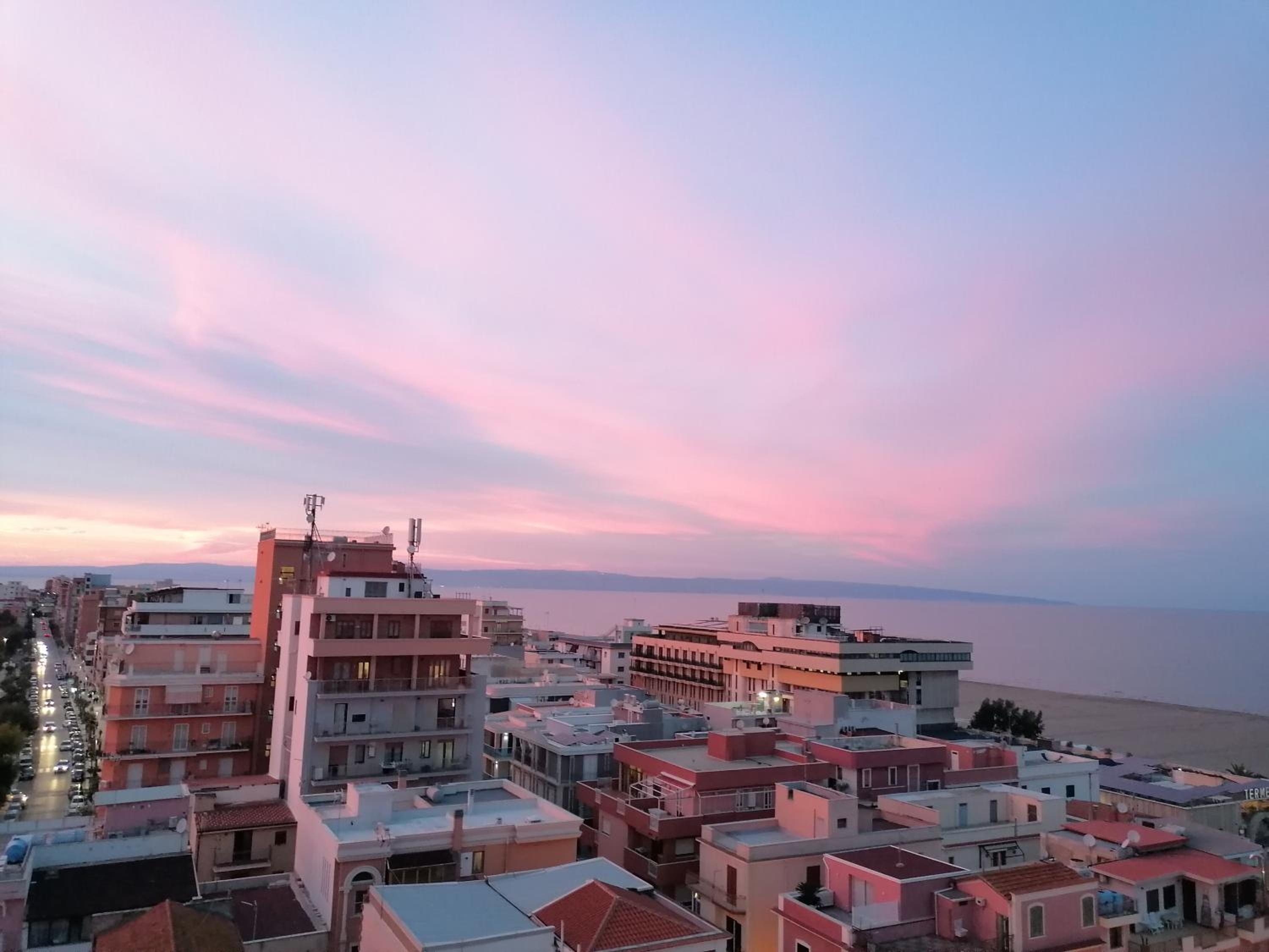 Fenicottero Rosa