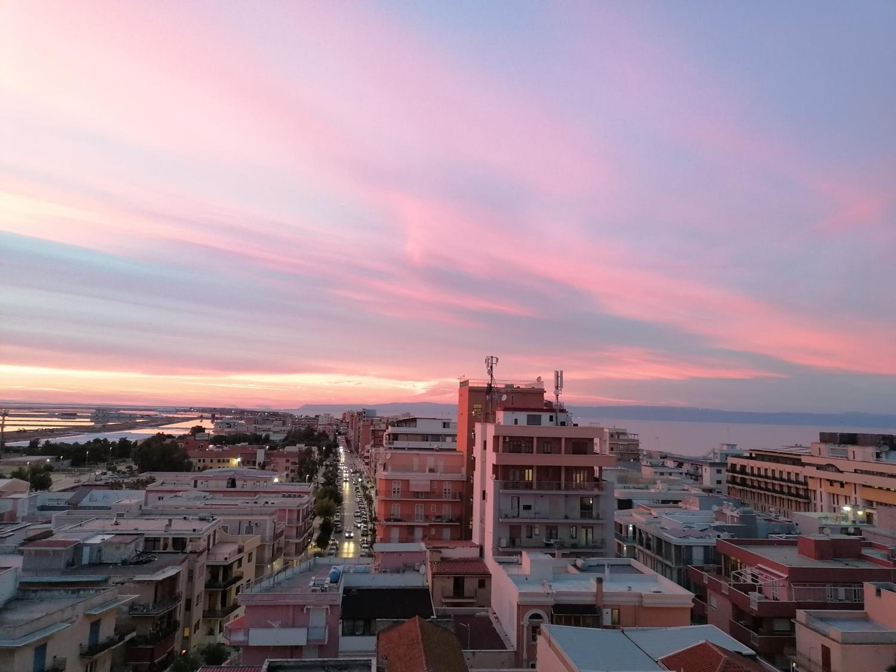Fenicottero Rosa