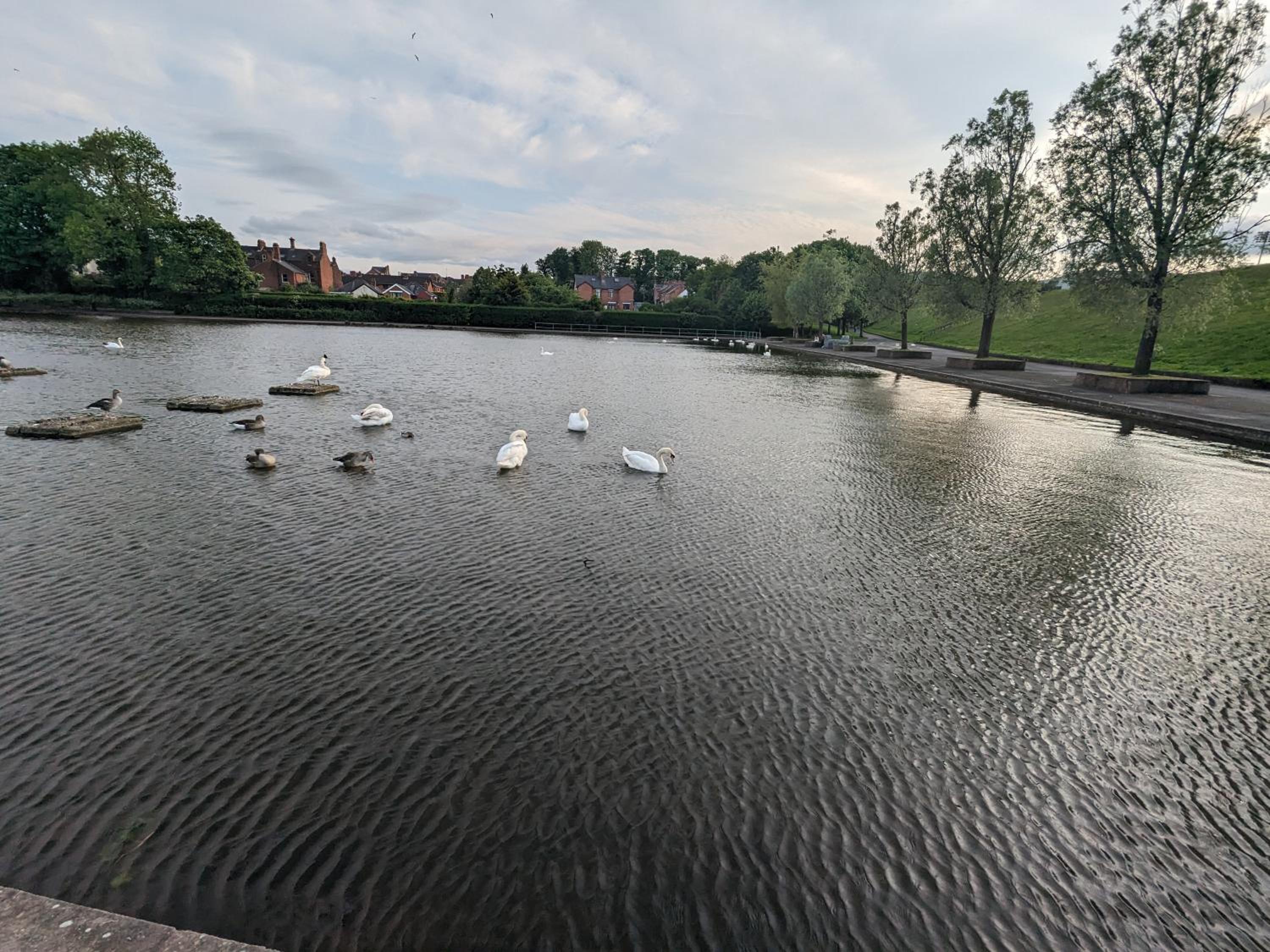 Belfast Waterworks Townhouse