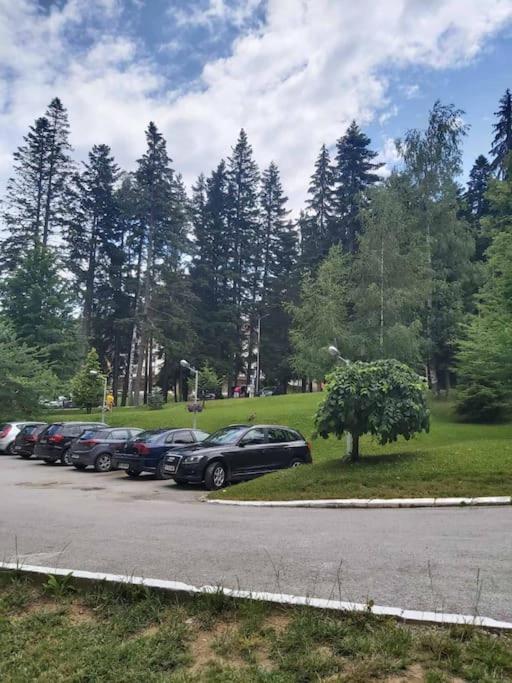 Premium StudioApartment in Borovets Gardens