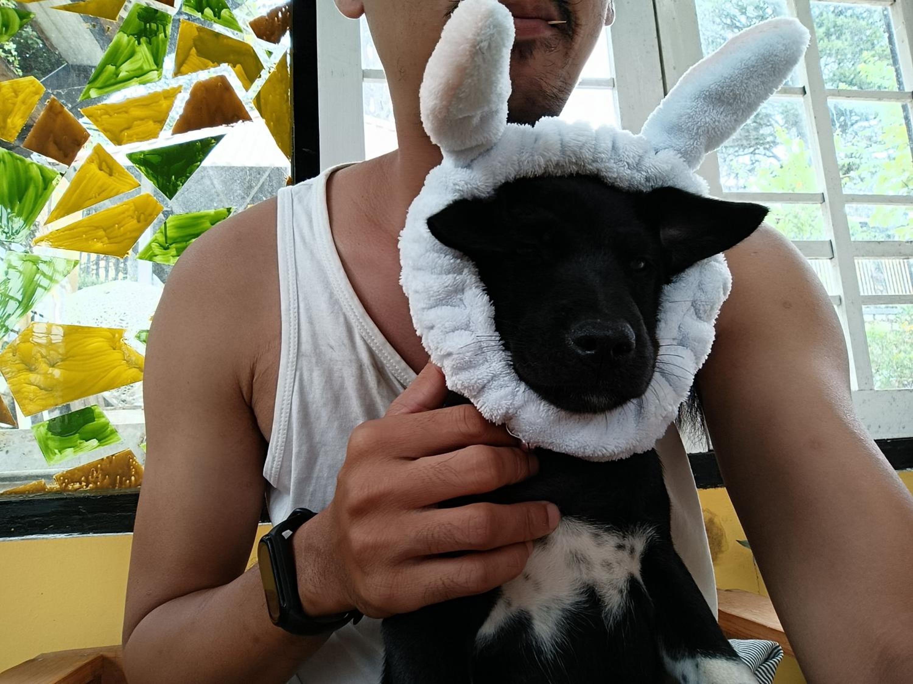 Photo 136