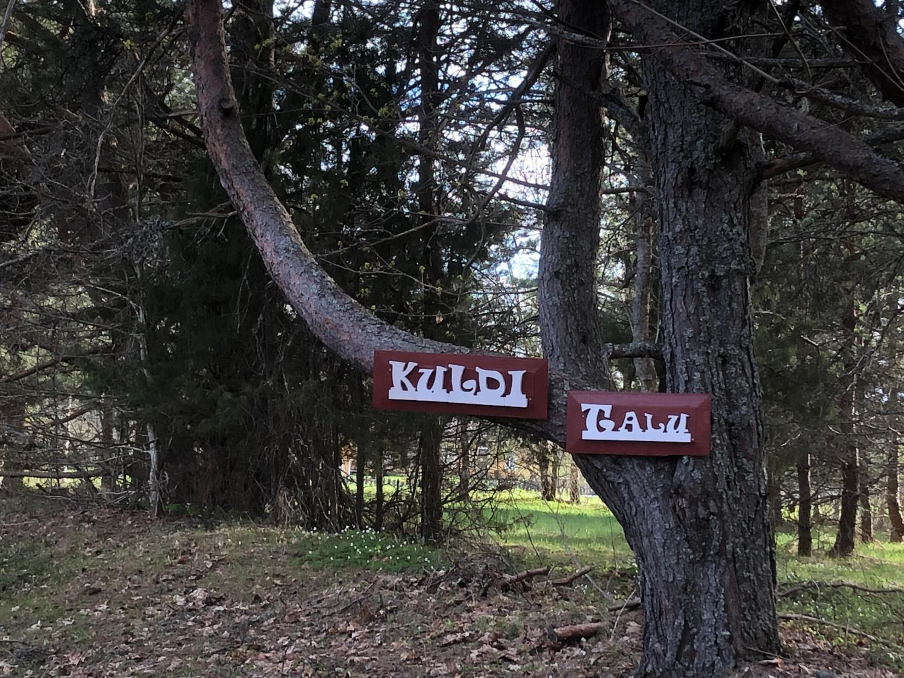 Kuldi Mirror House