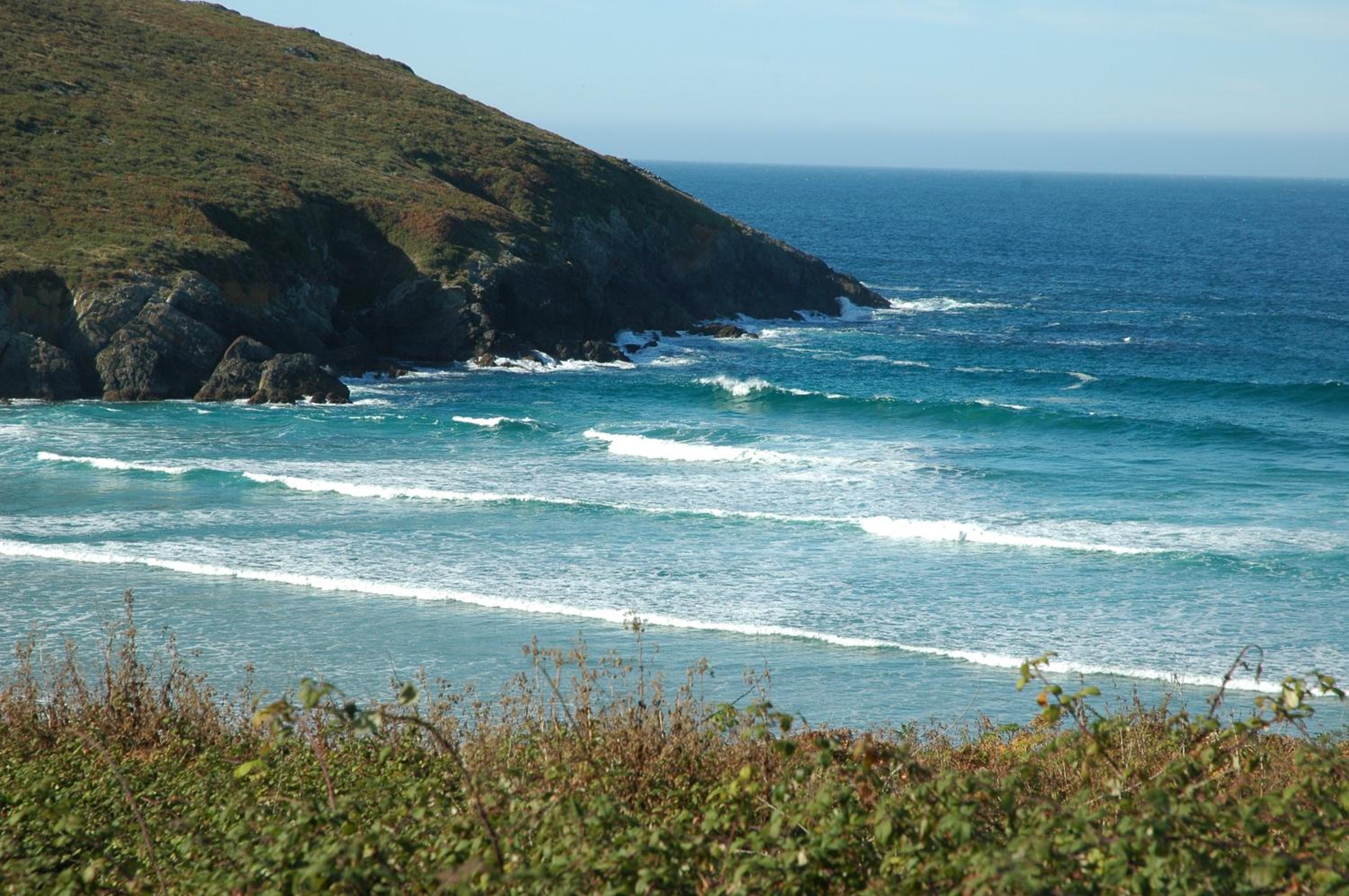 LA GALLEGA