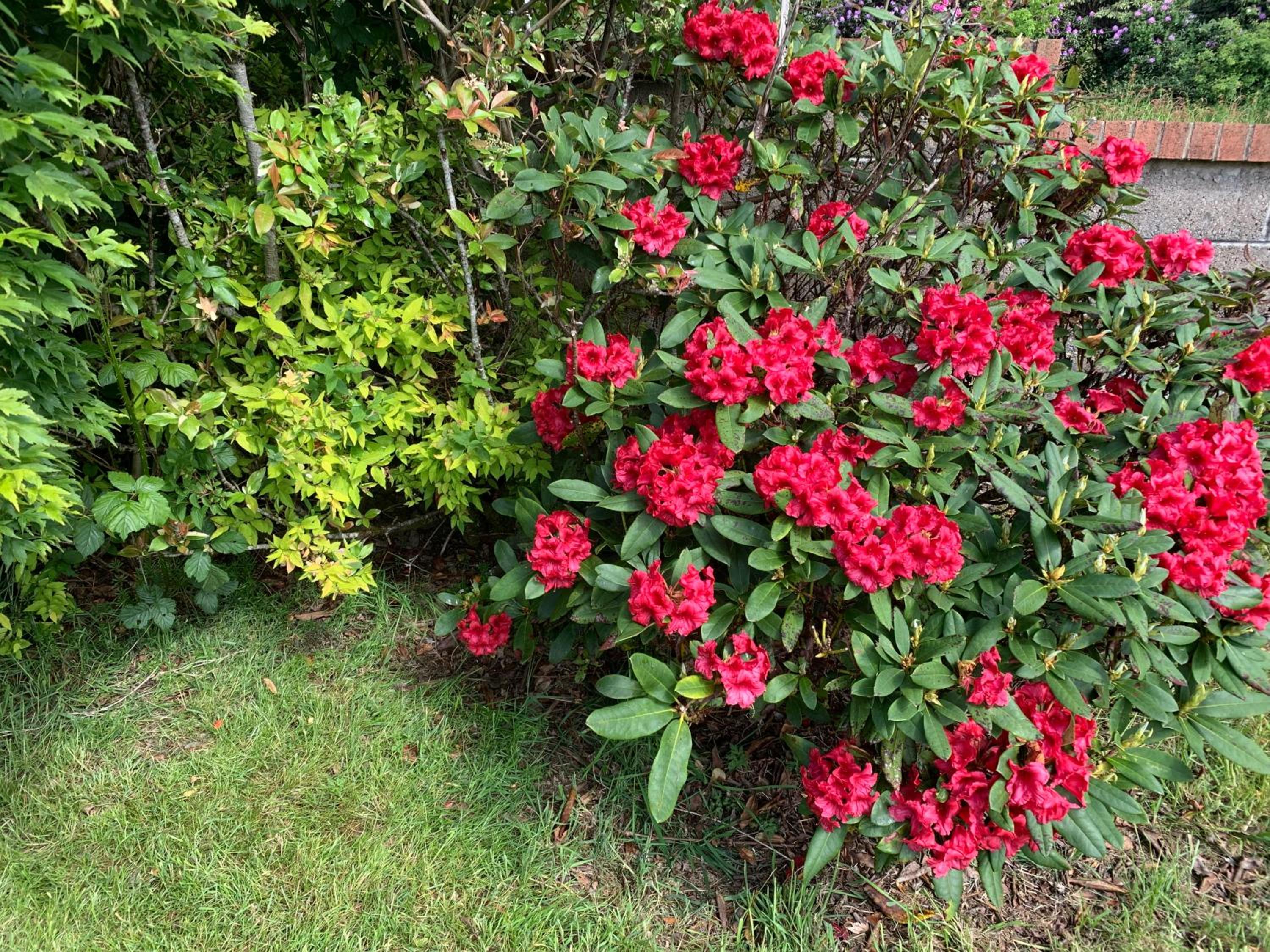 Photo 22
