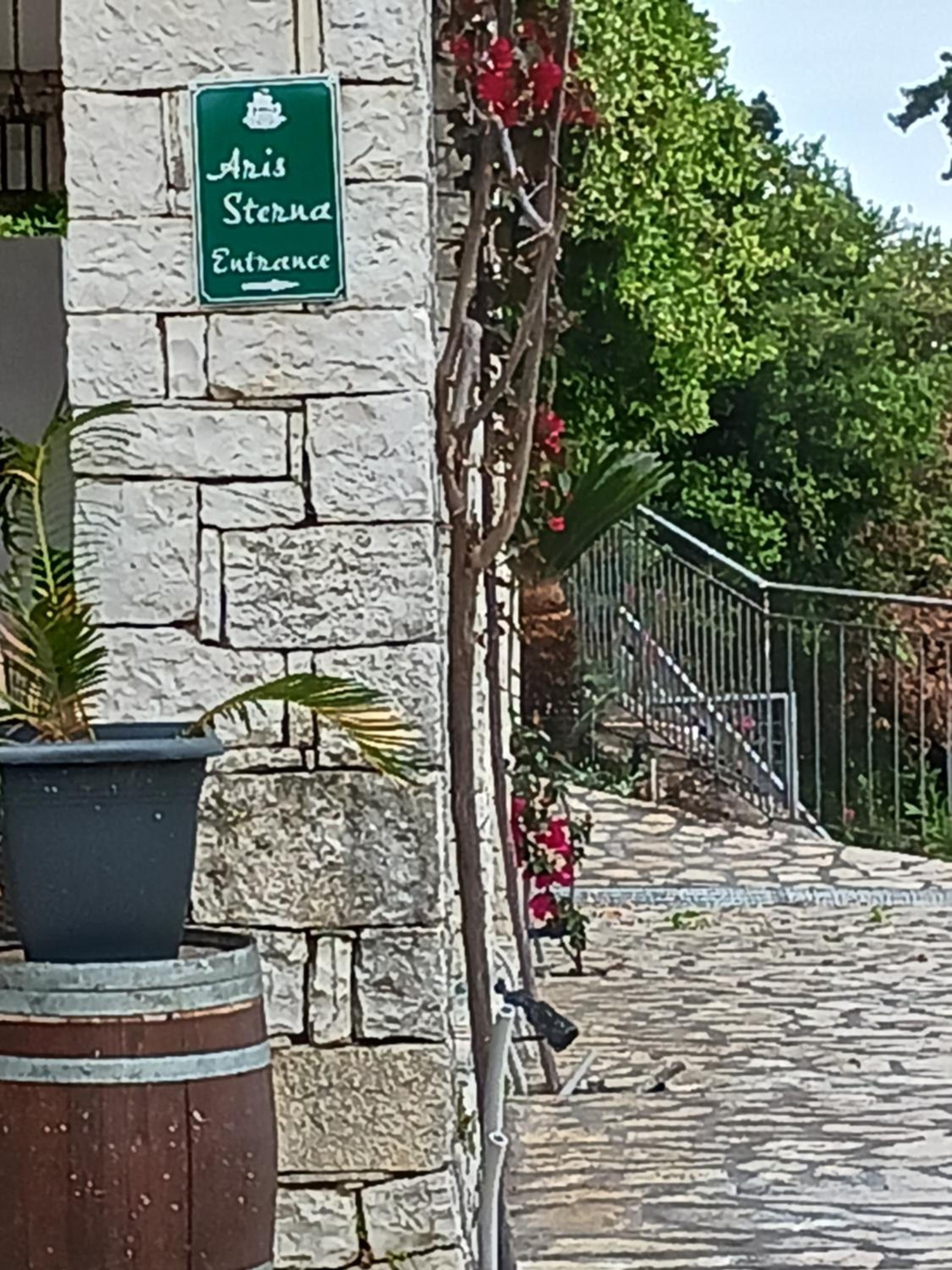 Sterna Studio
