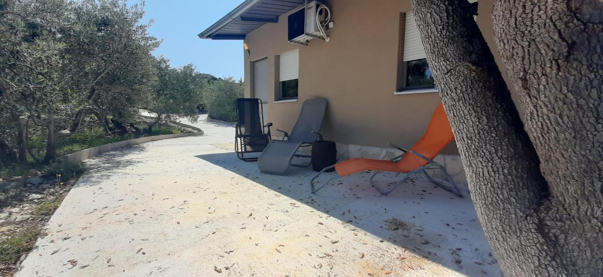 Apartman Olive grove view 3