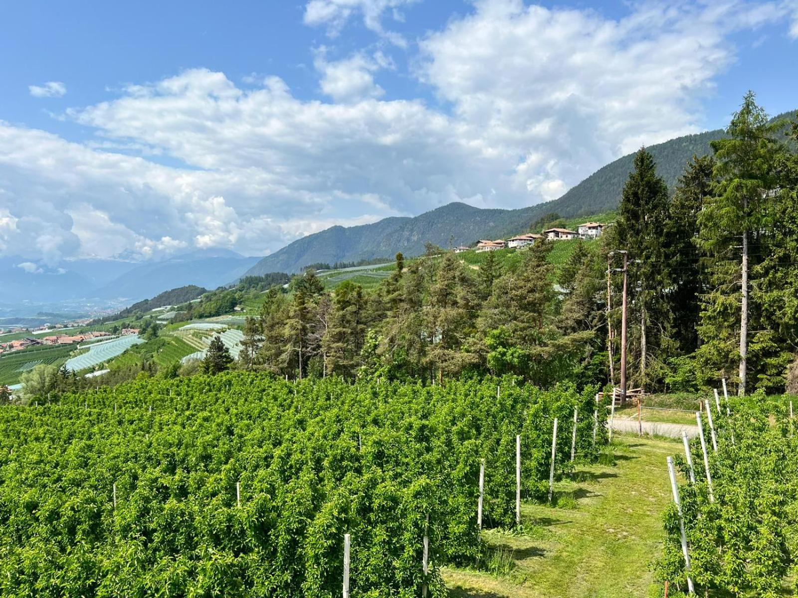 Agritur Maso Forcola