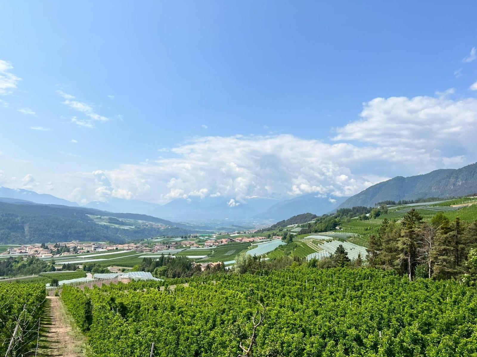 Agritur Maso Forcola