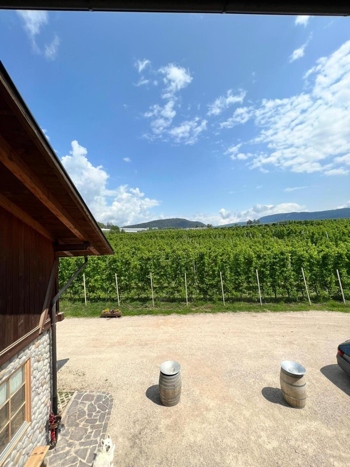 Agritur Maso Forcola