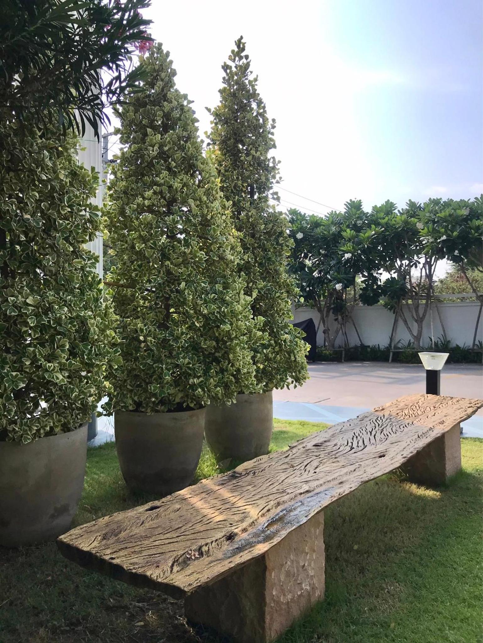 outdoor BBQ area