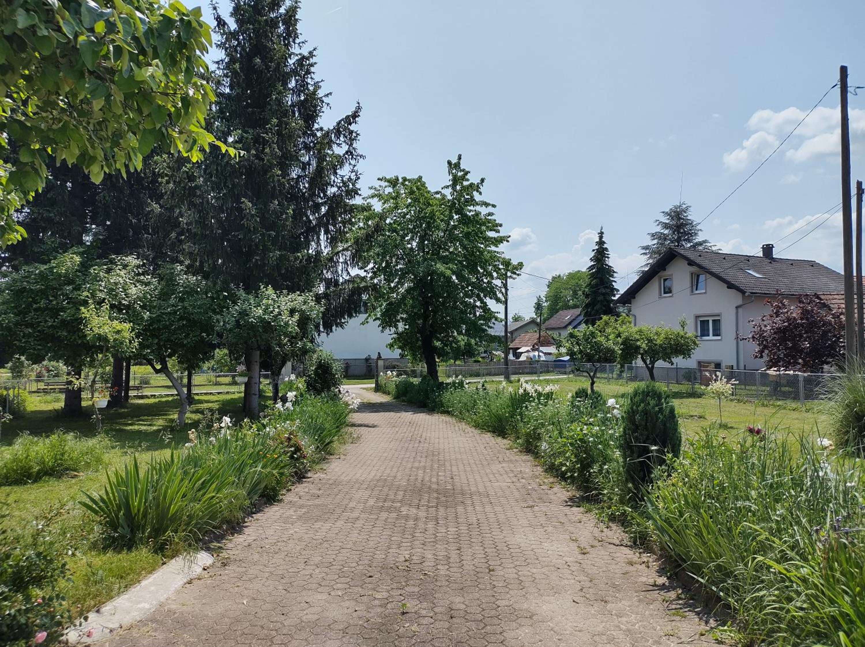 Villa Drenje view 5