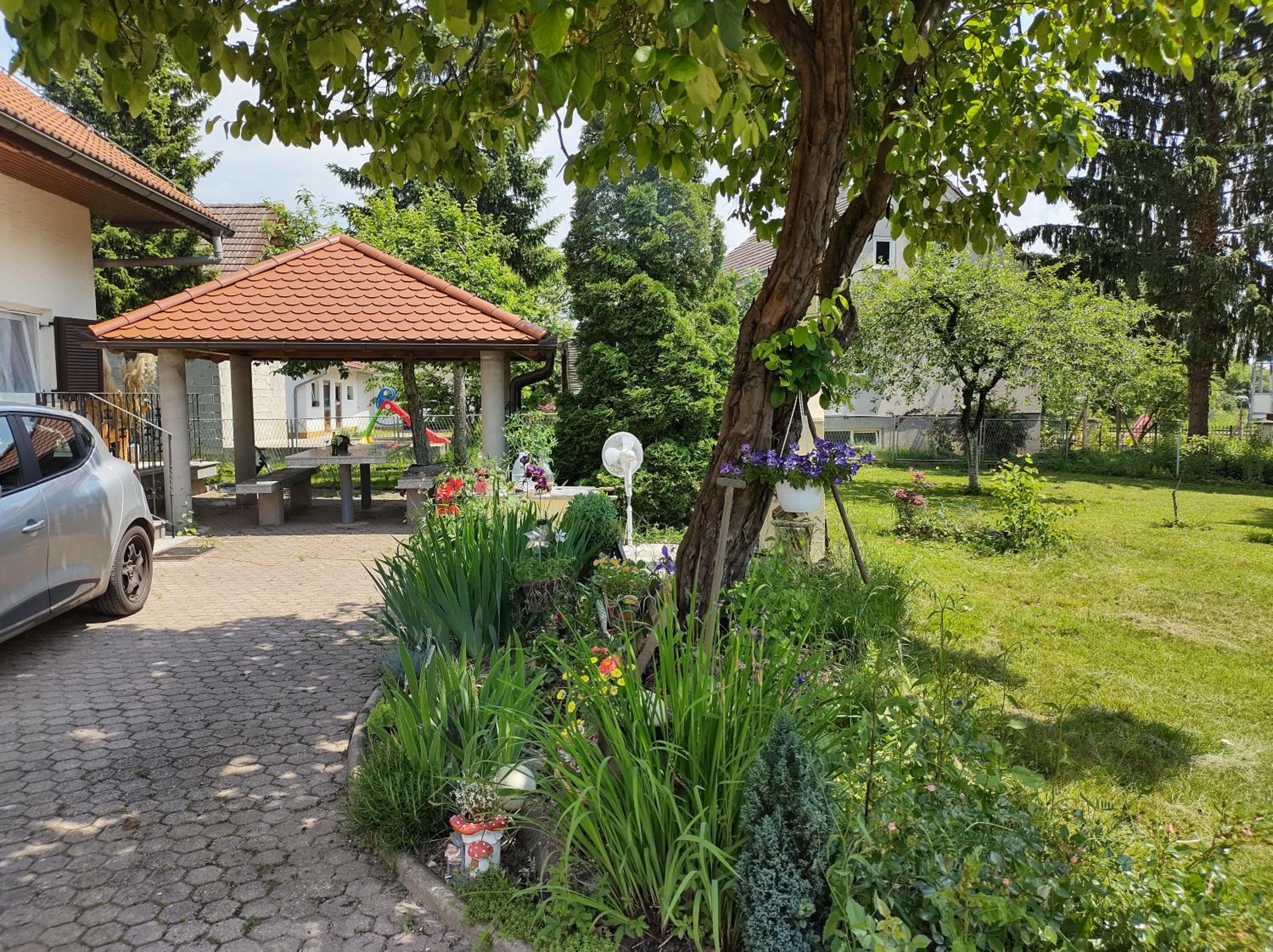 Villa Drenje view 4
