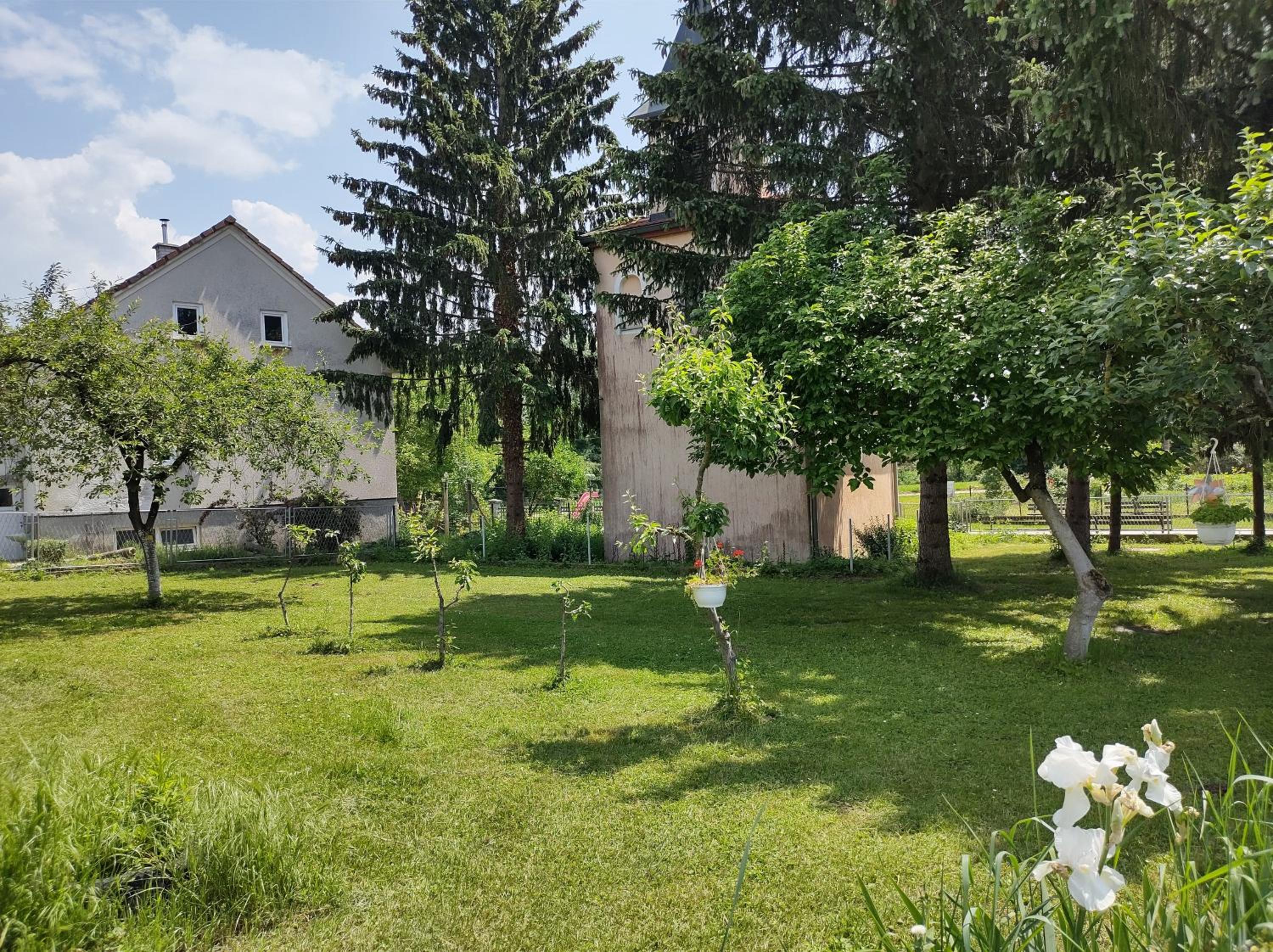 Villa Drenje view 2