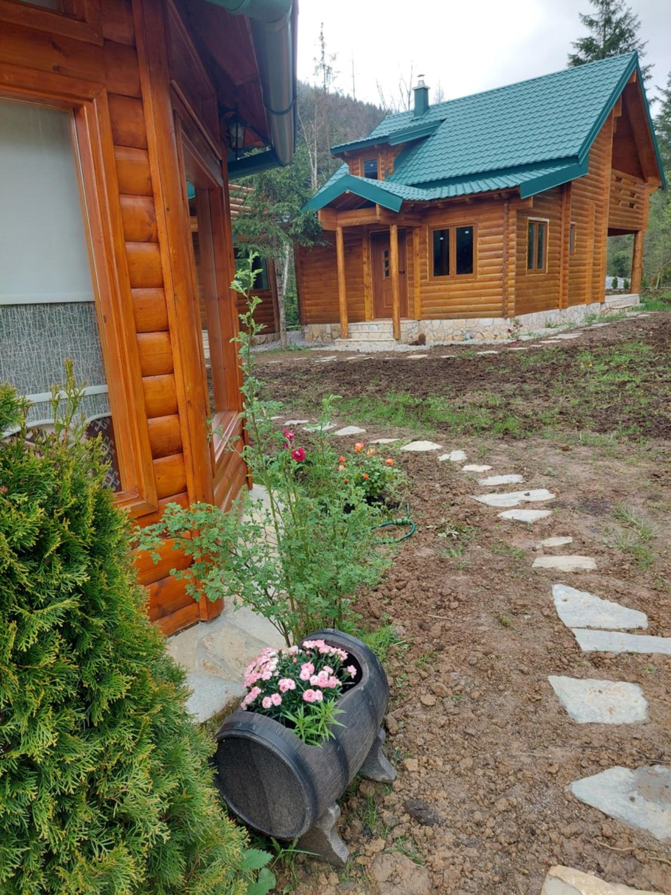 Photo 9