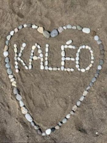 Kaleo Chios Luxury Apartments