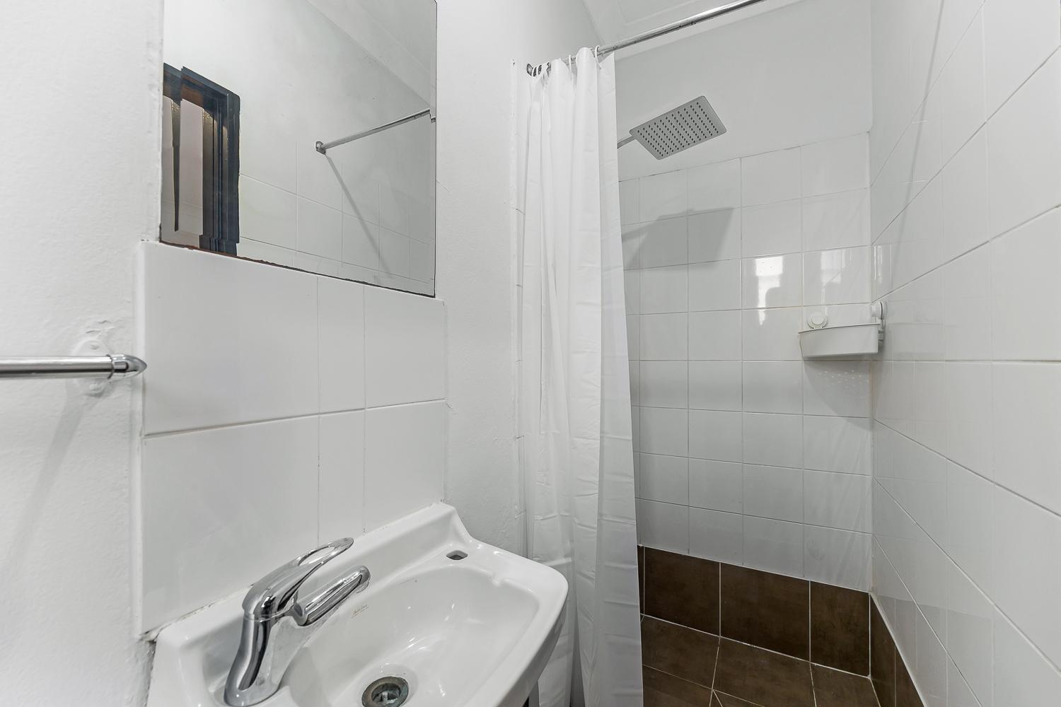 London Plane Backpackers