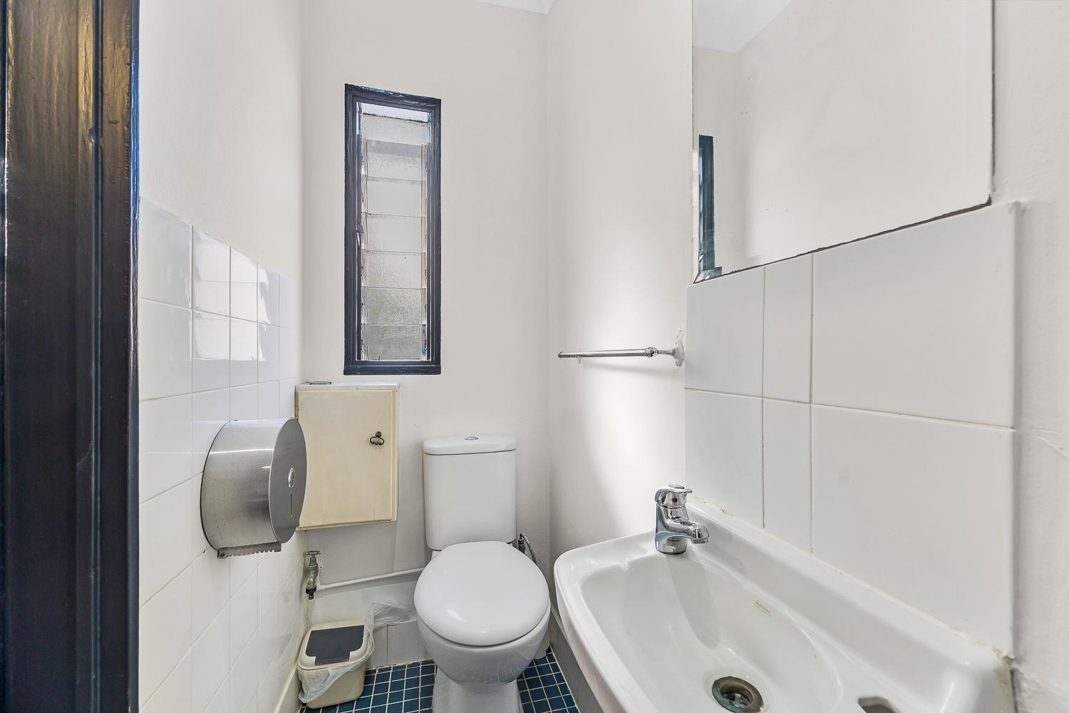 London Plane Backpackers