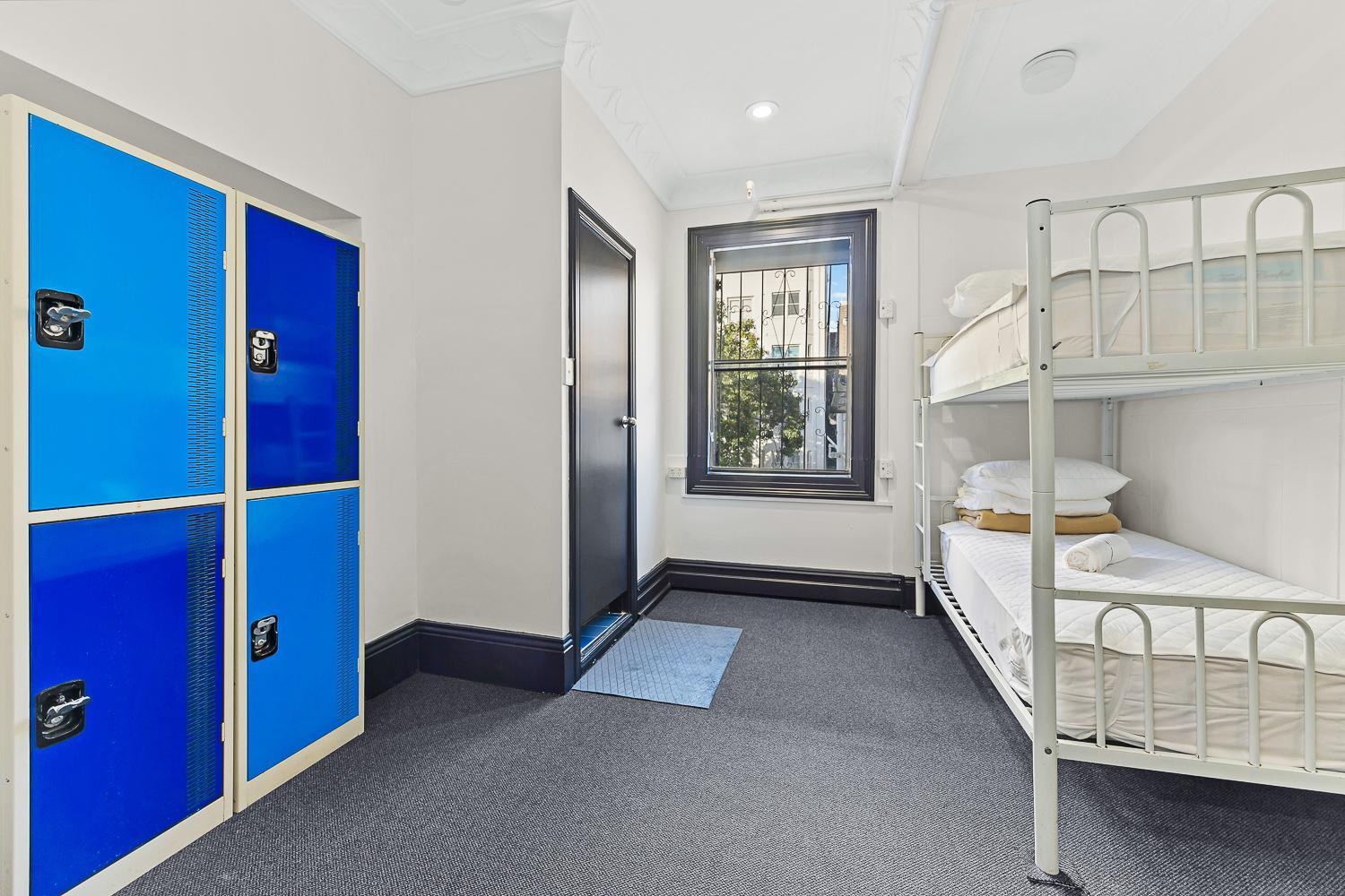 London Plane Backpackers